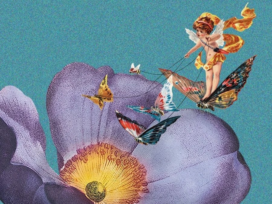 Digital Collage & Graphic Design