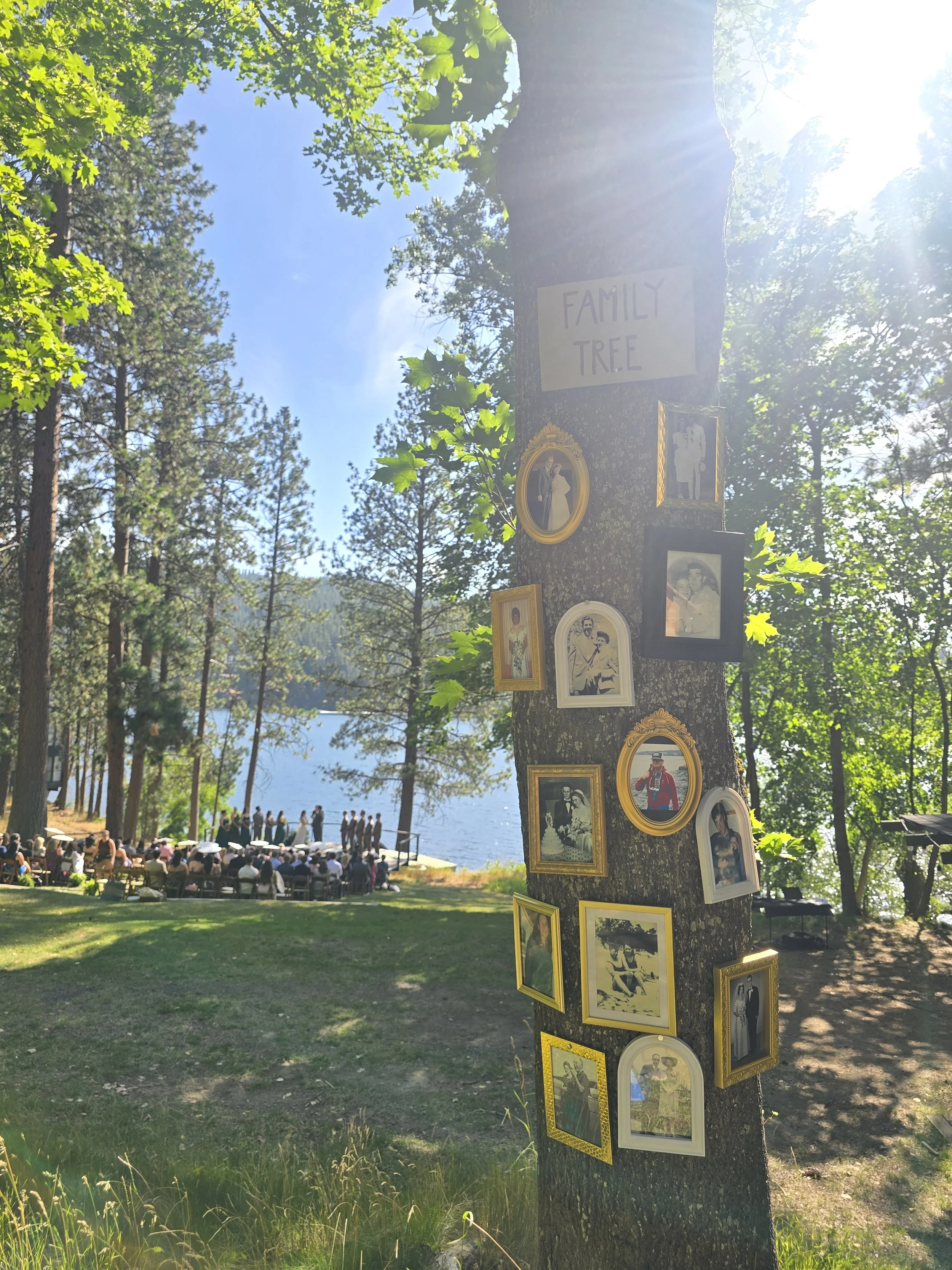Tree with a sign that reads 'Family Tree' and framed old photographs attached to it, set in a wooded area near a lake during daylight. People are gathered near the water with some sitting on benches, watching a performance on a small stage.