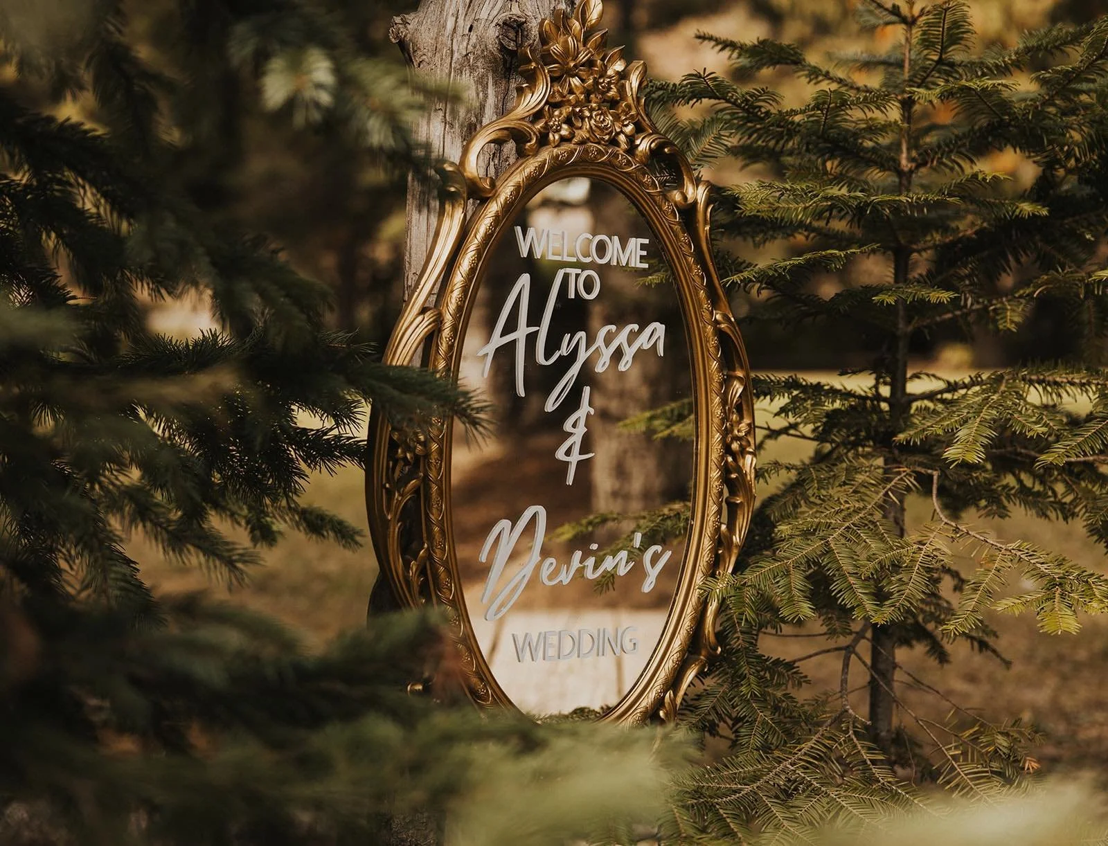 A decorative gold-framed mirror on a tree, with a sign that reads "Welcome to Alyssa & Devin's Wedding" in white cursive text, surrounded by pine branches.