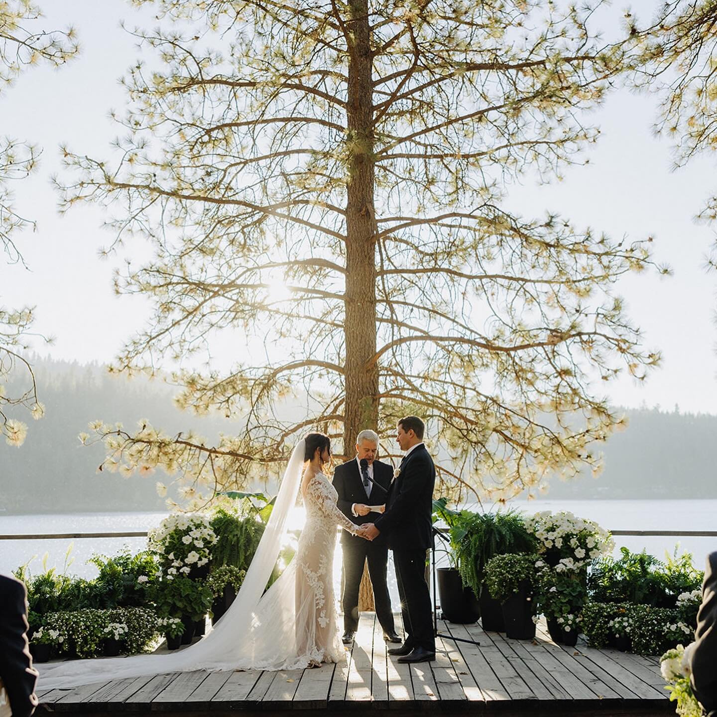 A couple getting married outdoors under a large tree, with an officiant, by a lake, with the sunrise or sunset in the background, surrounded by floral arrangements.