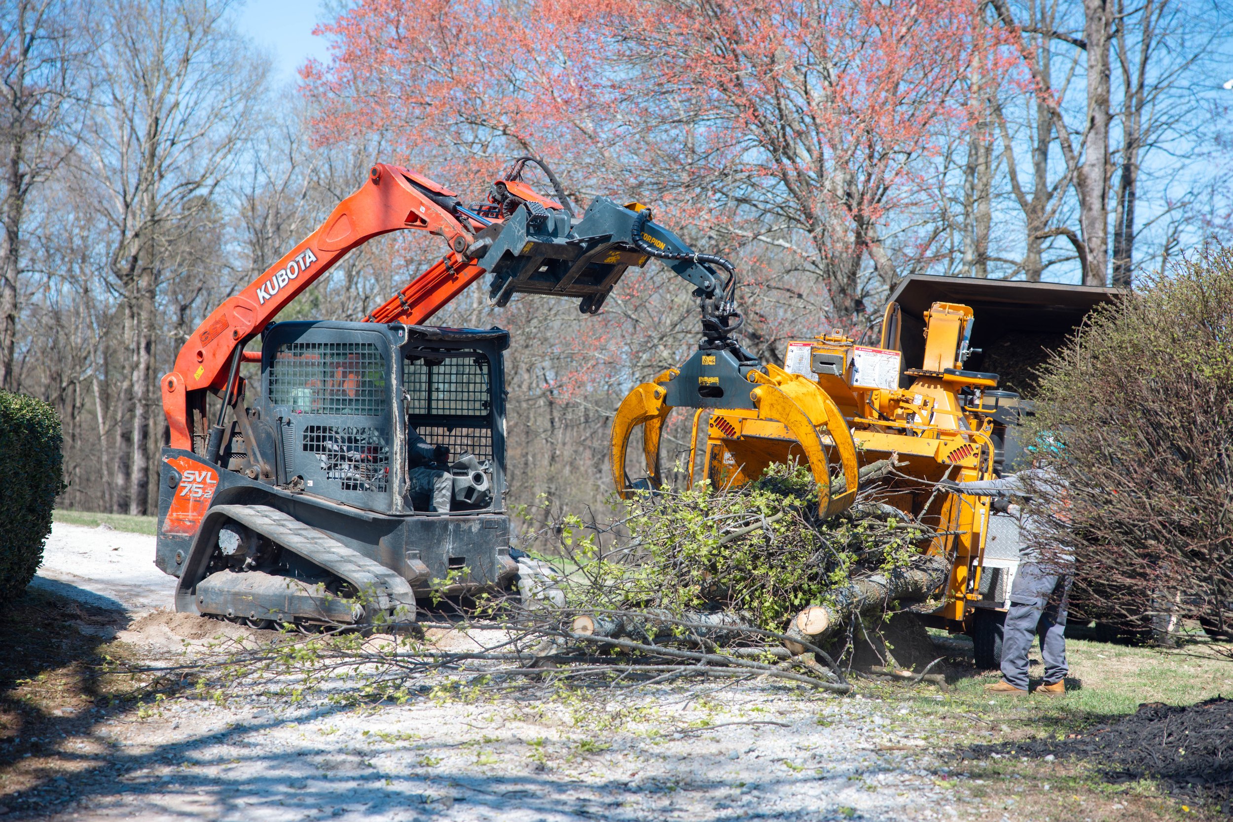 How Summer Weather Impacts Your Trees & Yard in North Georgia