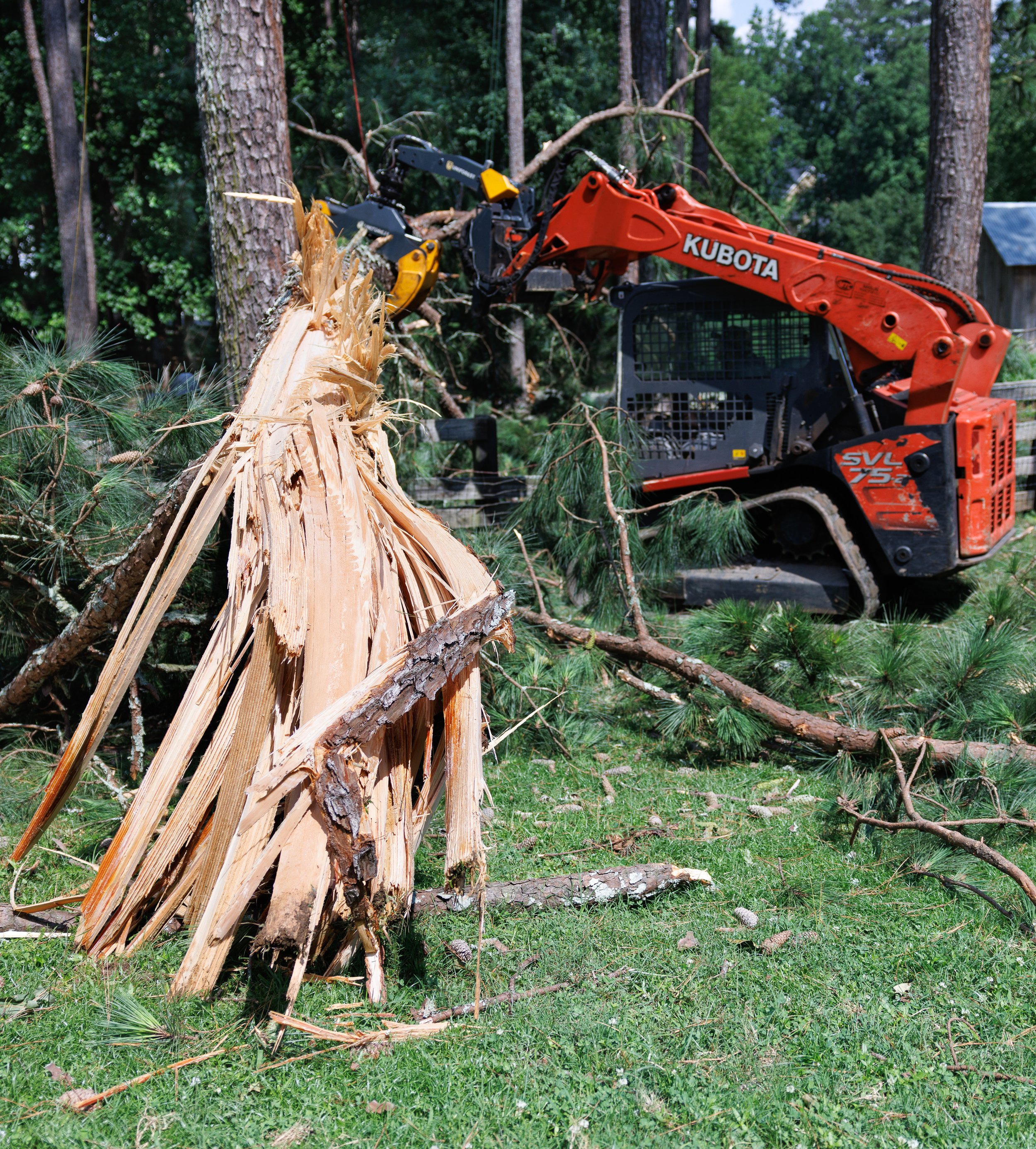 Why Landscaping Is Important for Your Yard and Your Trees!