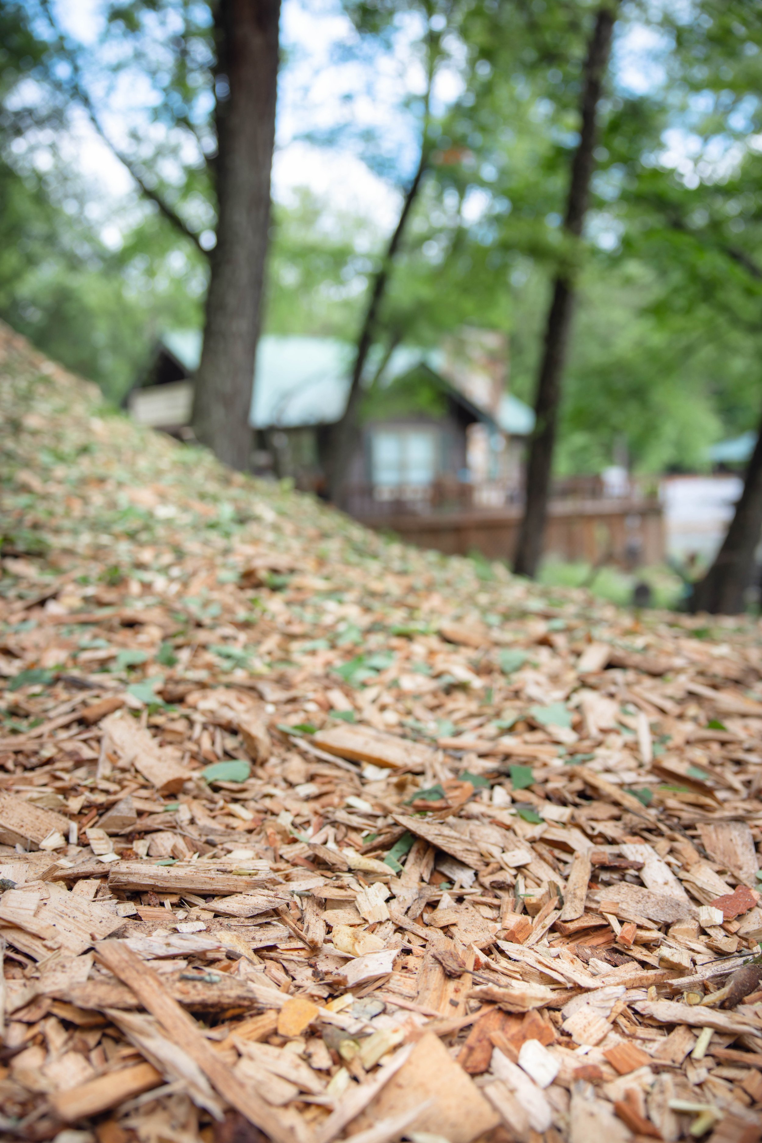 Why We Love Wood Chips (And Why You Should Too)