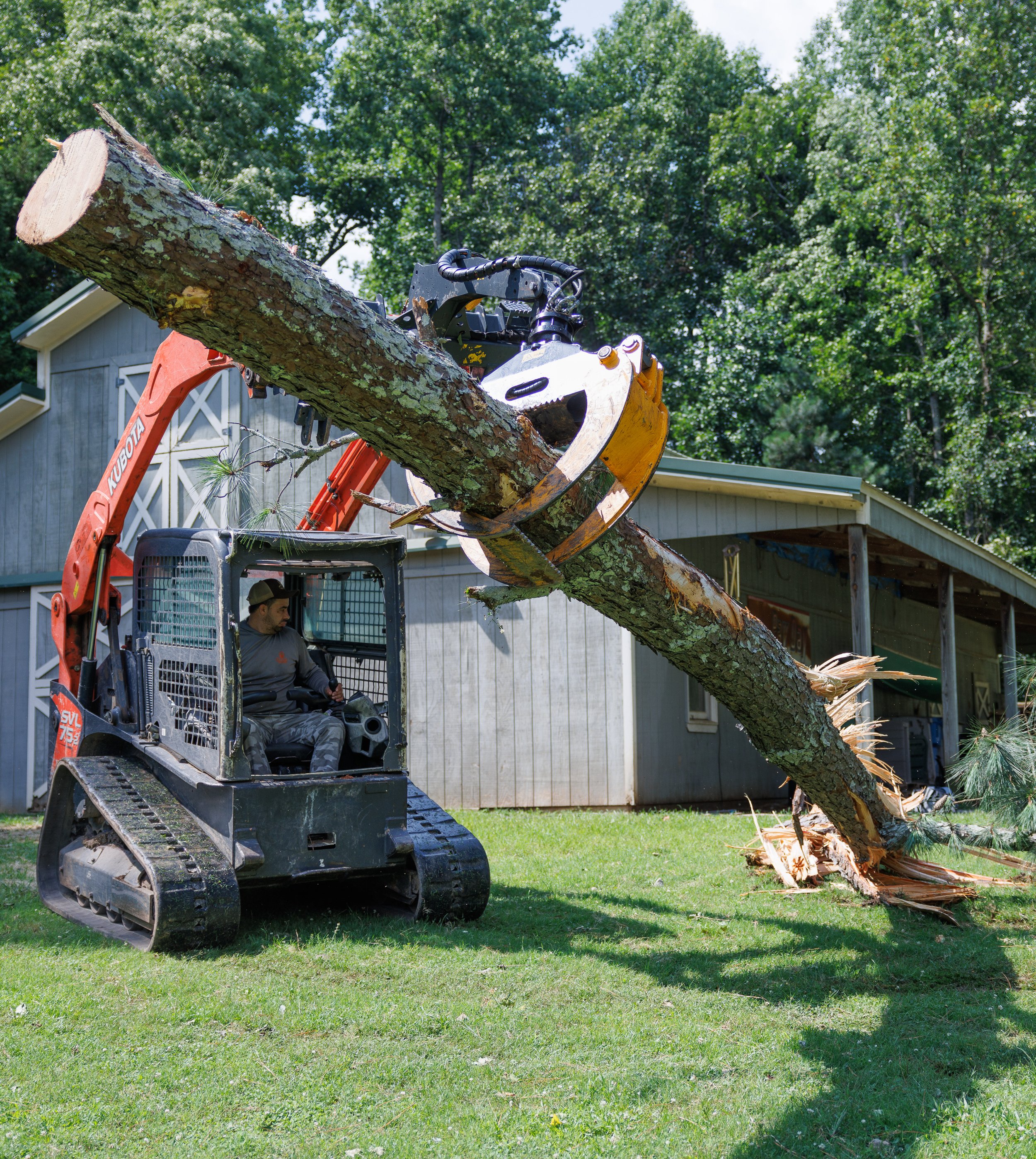 How to Know If a Tree Is Dangerous and What to Do About It