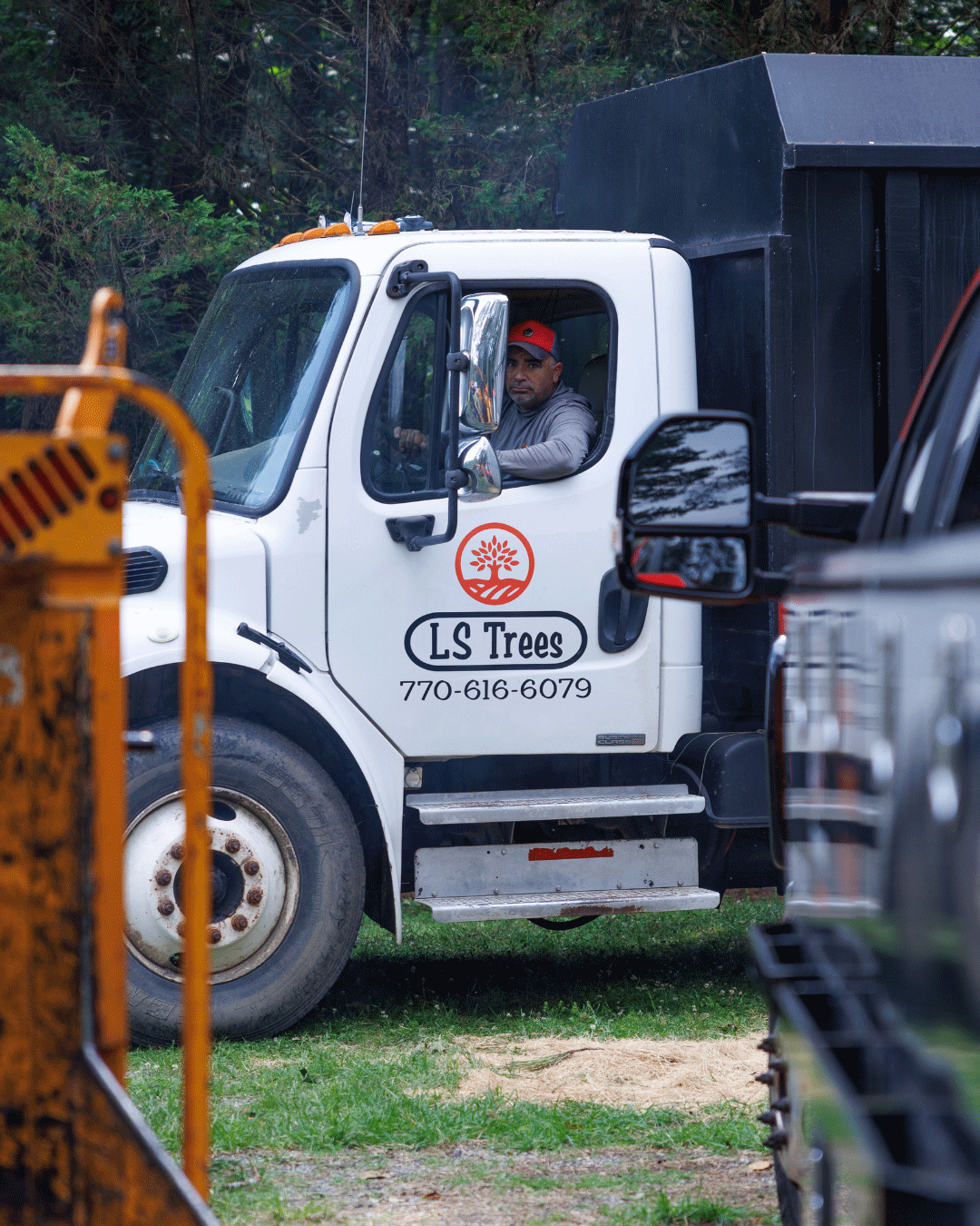 Why Choosing the Right Tree Service Protects You - Not Just Your Yard