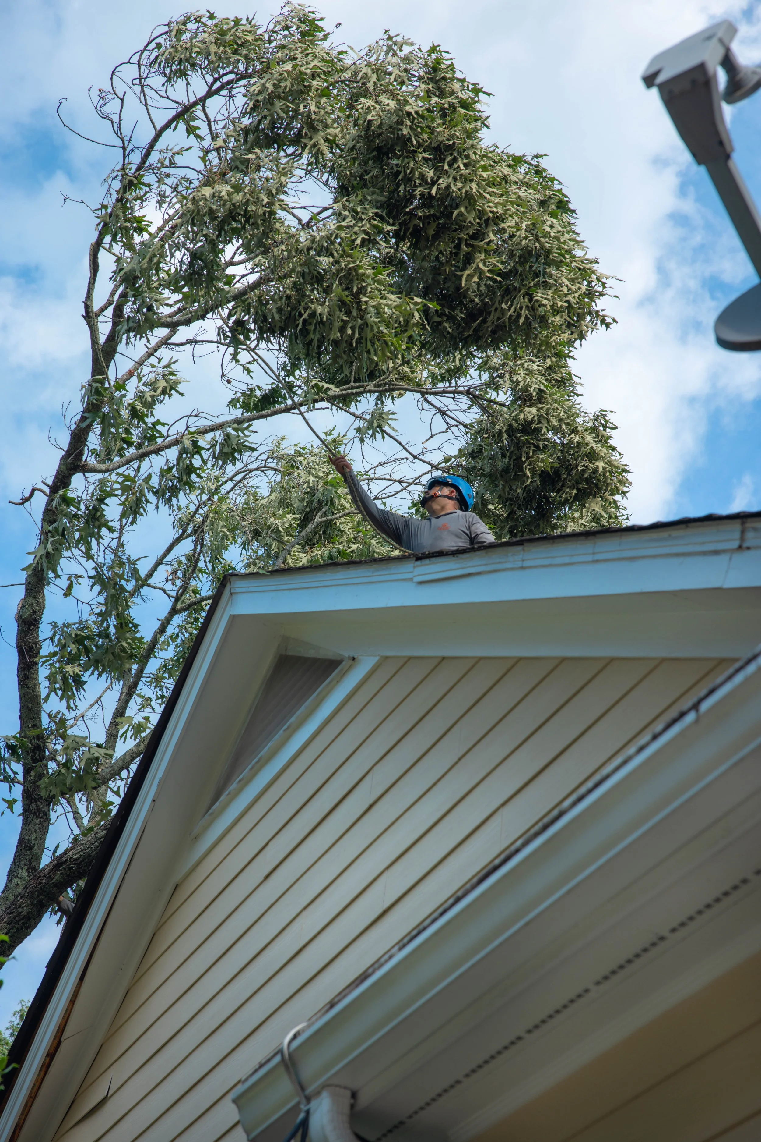 Is Your Property Storm-Ready? 6 Ways to Prepare Your Trees Before the Next Big Storm