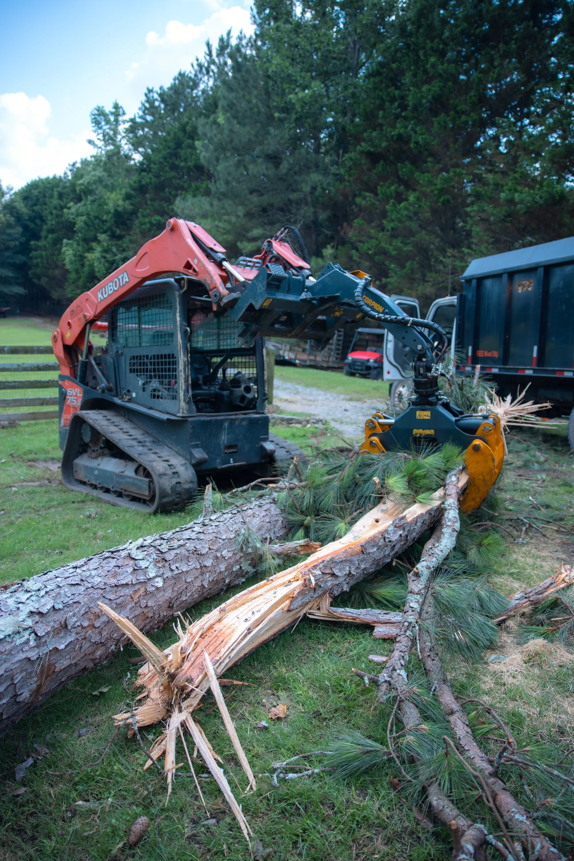 Don’t Wait Until It Falls: Why Mid-Season Tree Trimming Could Save You Thousands