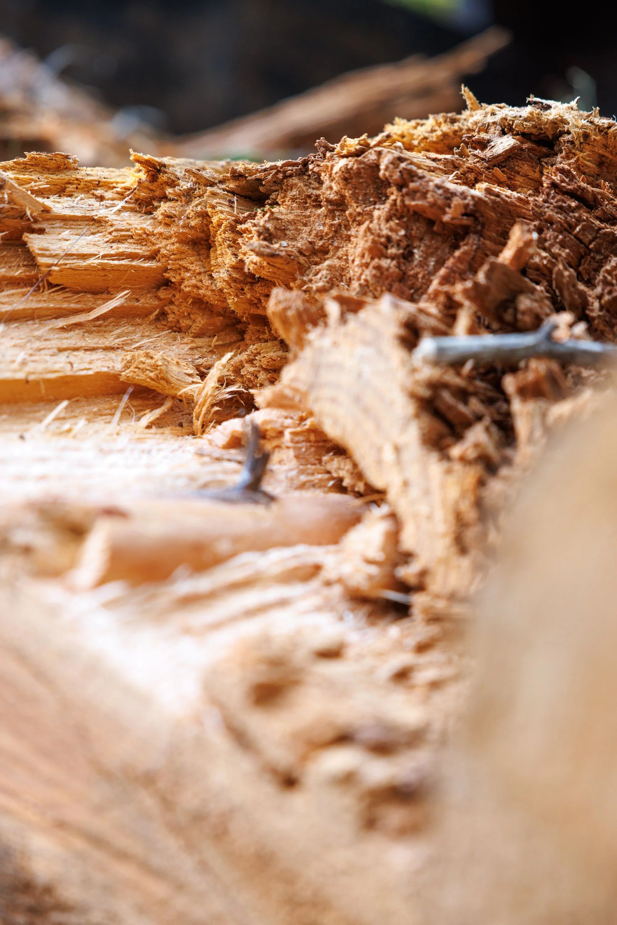 Why Fall Is the Best Season for Outdoor Projects