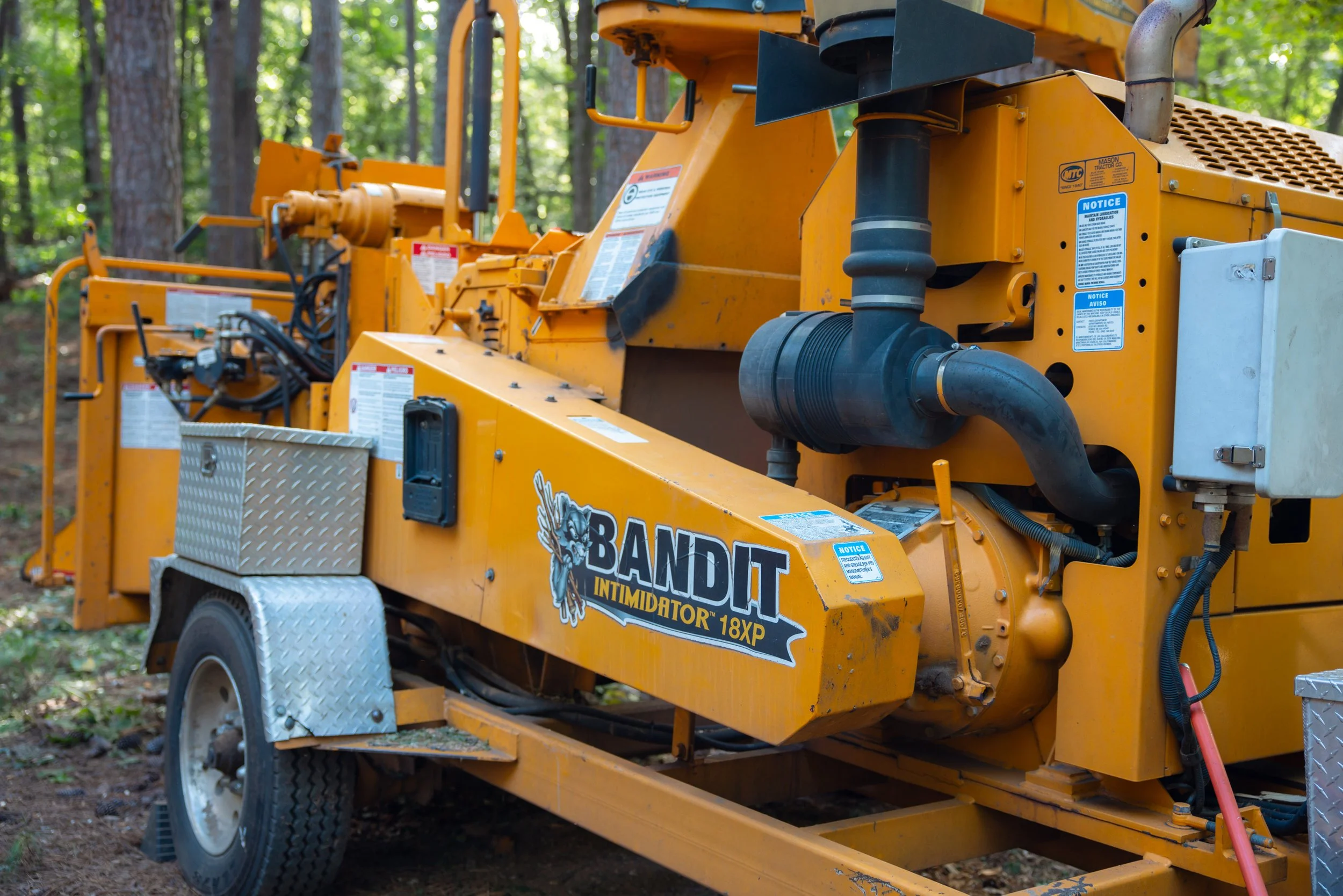Tree Maintenance Myths That Could Be Costing Cumming Homeowners Thousands