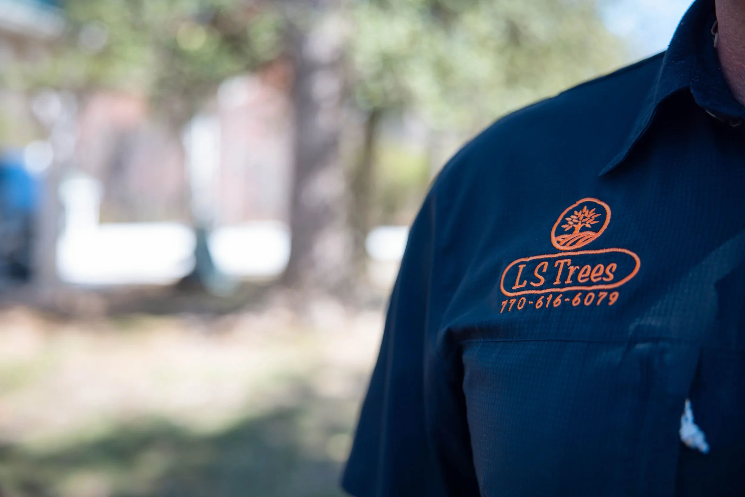 What Thanksgiving, Football, and Tree Service Have in Common