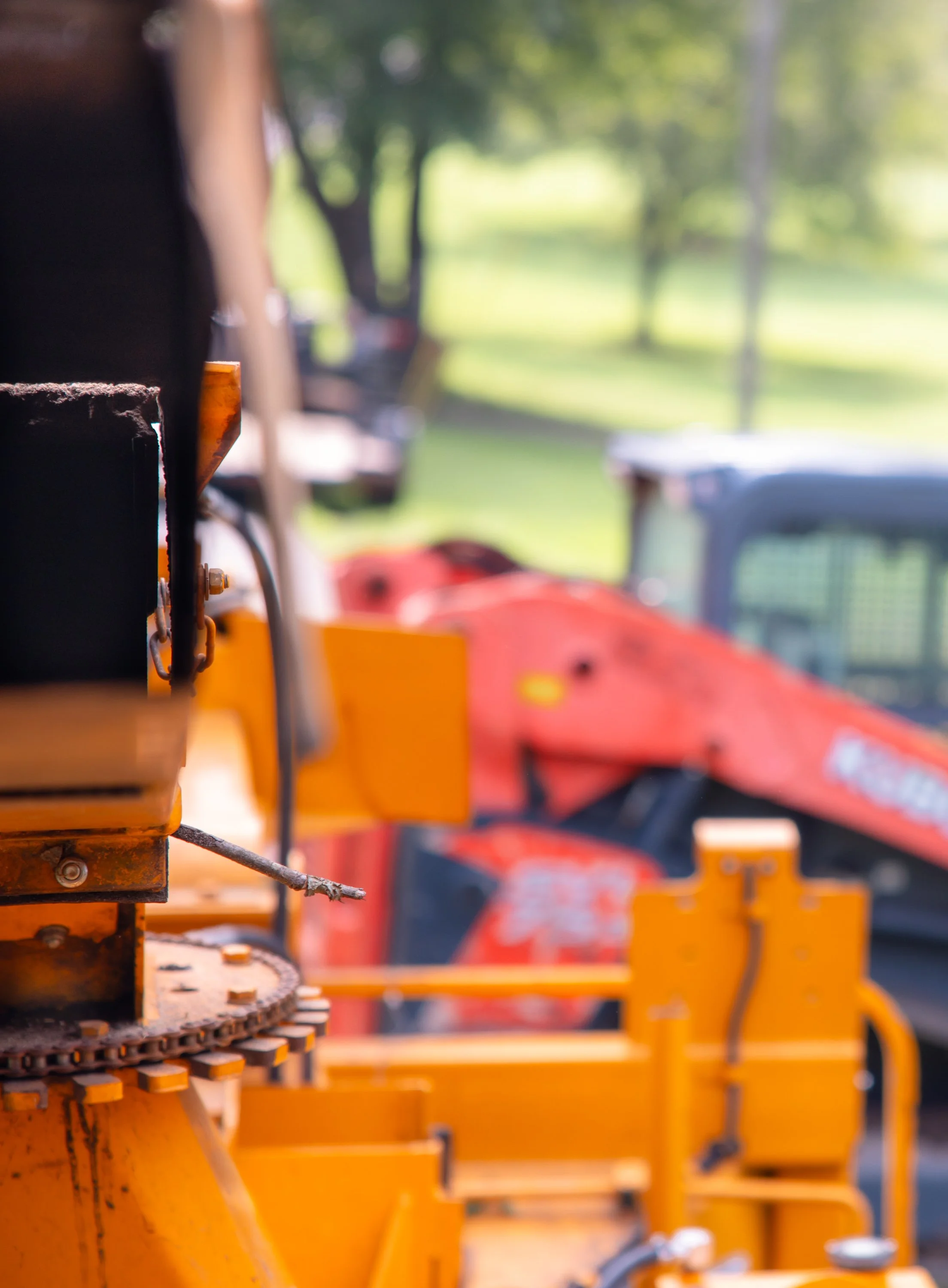 🦃 Why Real Estate Agents and Homeowners Should Tackle Tree Care Before the Holidays