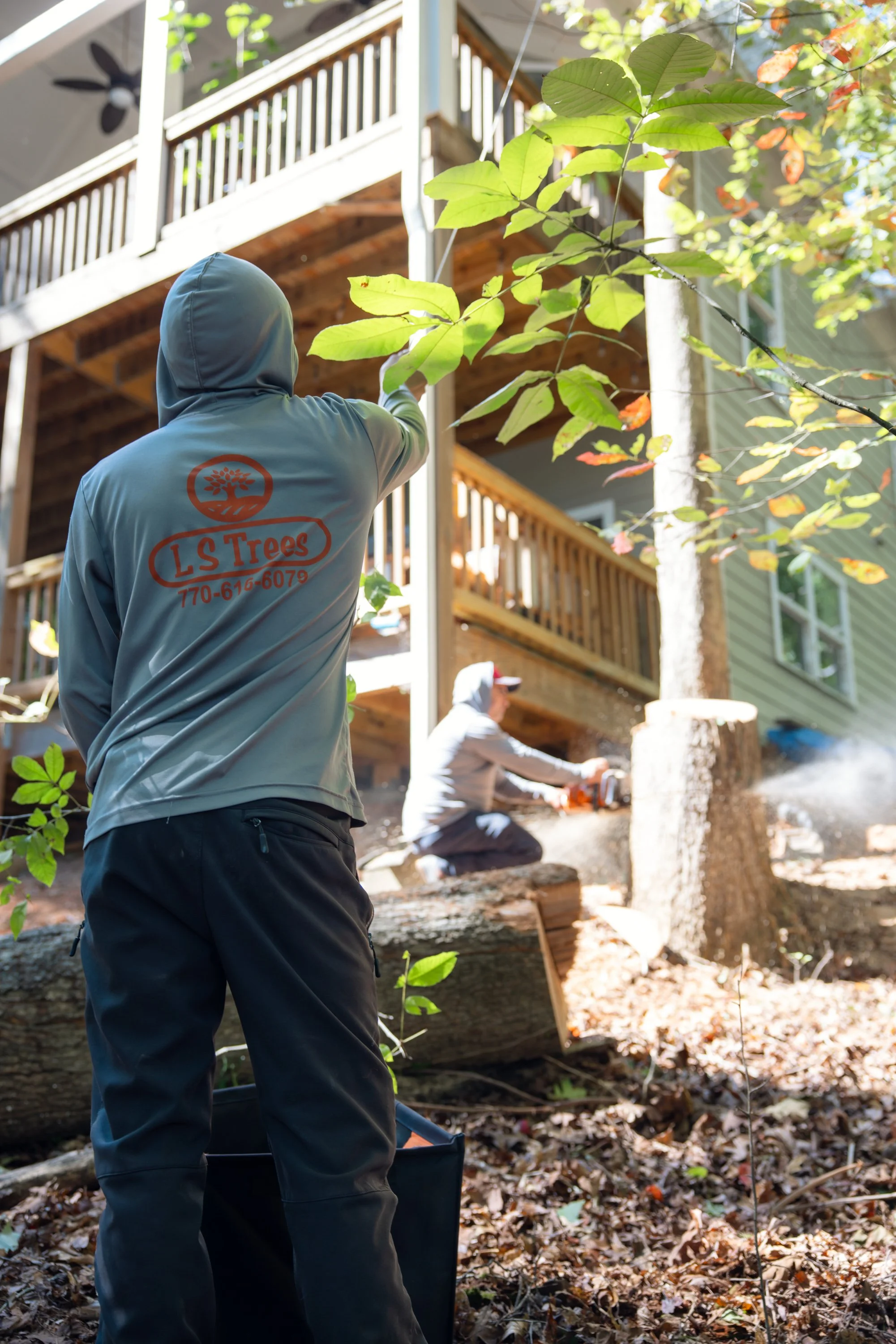 Tree Care Solutions for Busy Families and Professionals in Cumming, GA