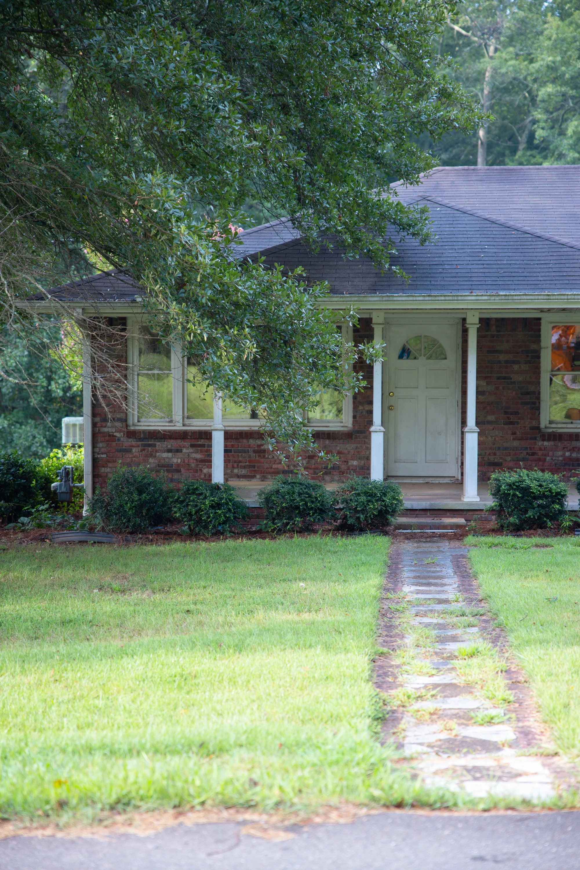 Why Winter Is the Smartest Time to Schedule Tree Care in Cumming, GA