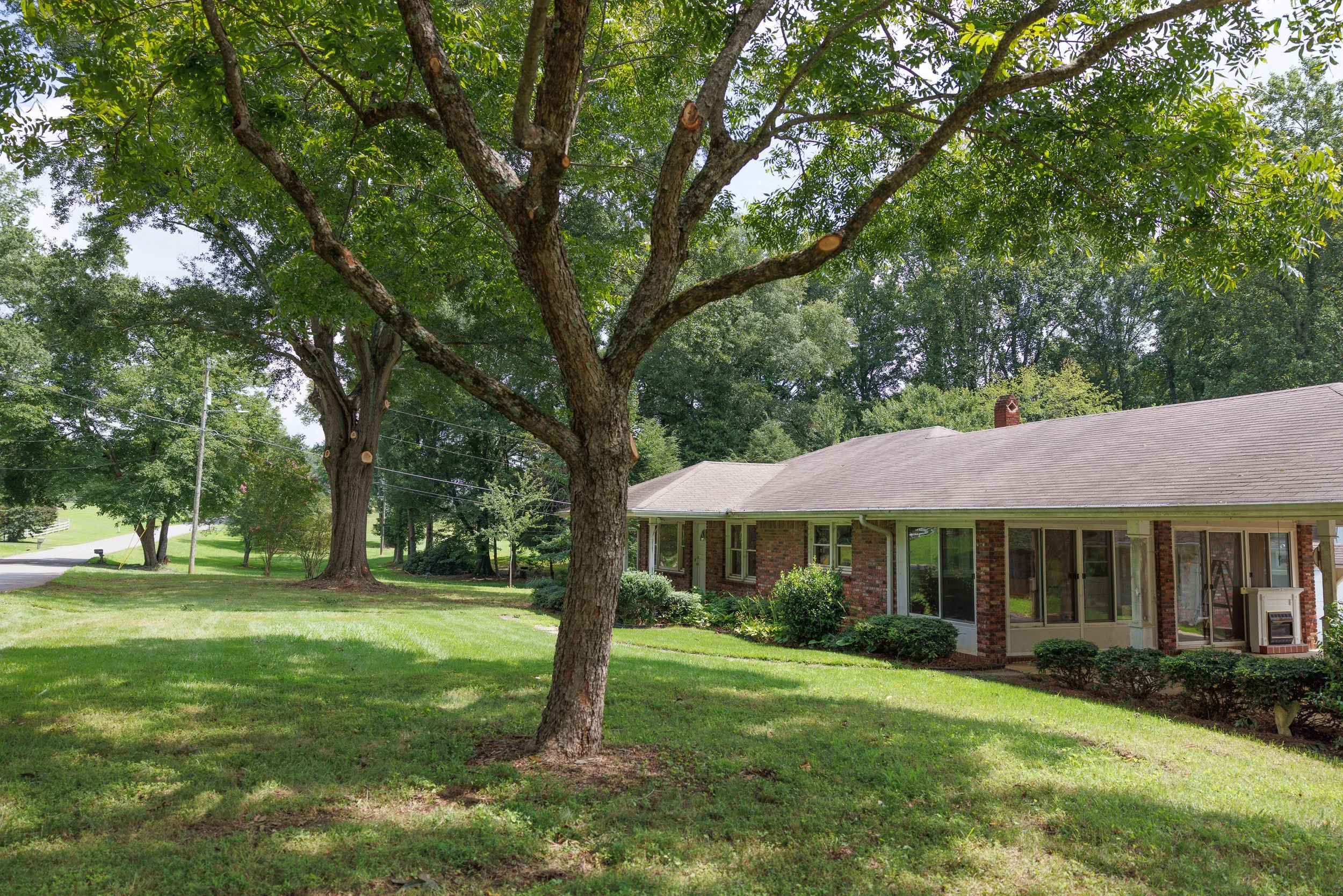 The Homeowner’s 2026 Guide to Winter Storm Tree Safety in Cumming, GA