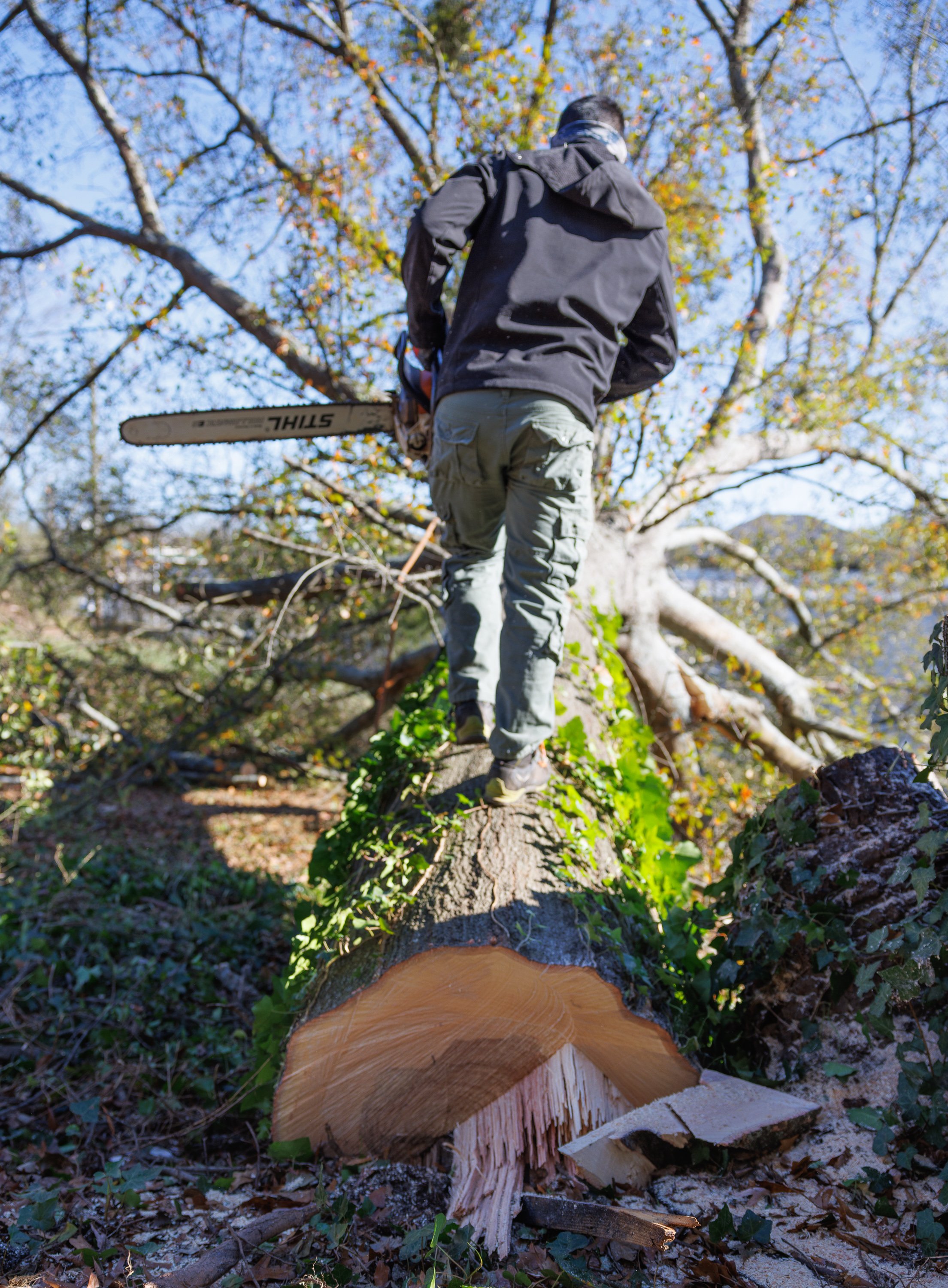 When Hurricane Season Ends, Winter Storm Risk Begins: What Cumming, GA Homeowners Should Do Now to Protect Trees &amp; Property
