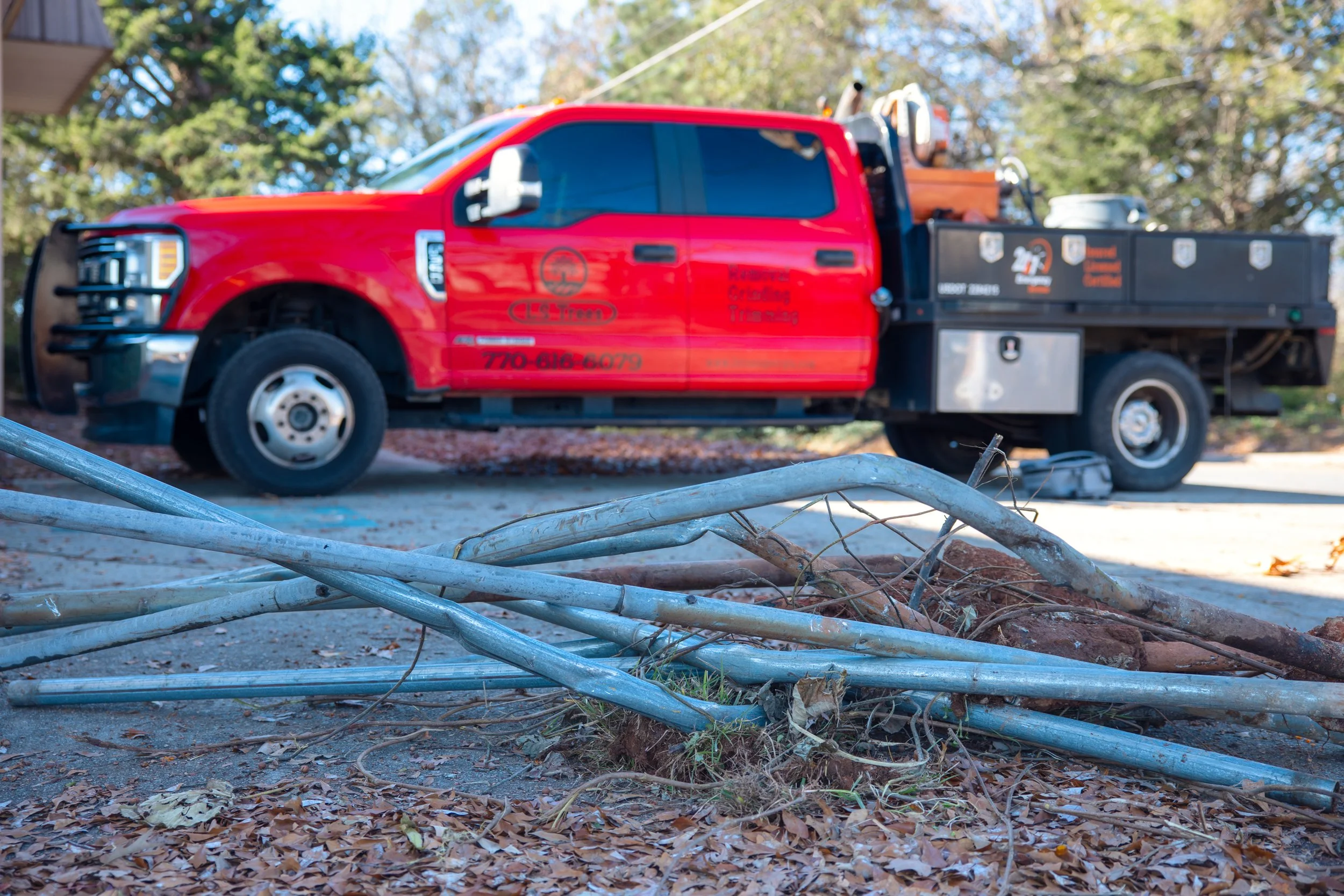 New Year, Stronger Property: What Homeowners in Cumming, GA Should Know About Tree Care in 2026 🌳
