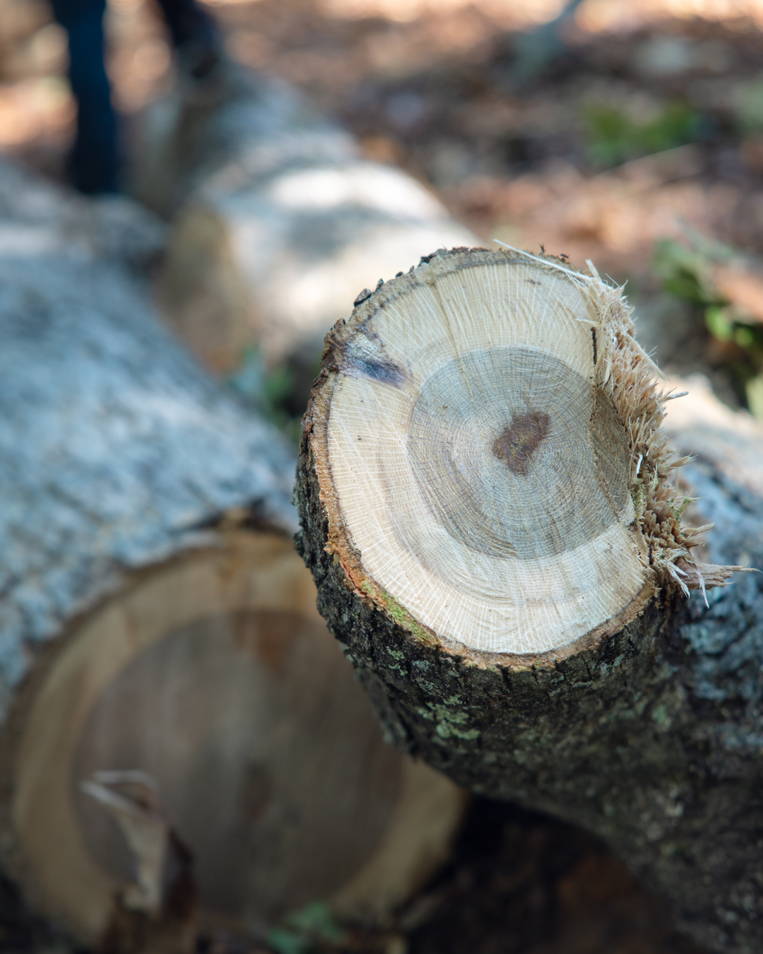 Preparing Your Property for Spring Starts Now