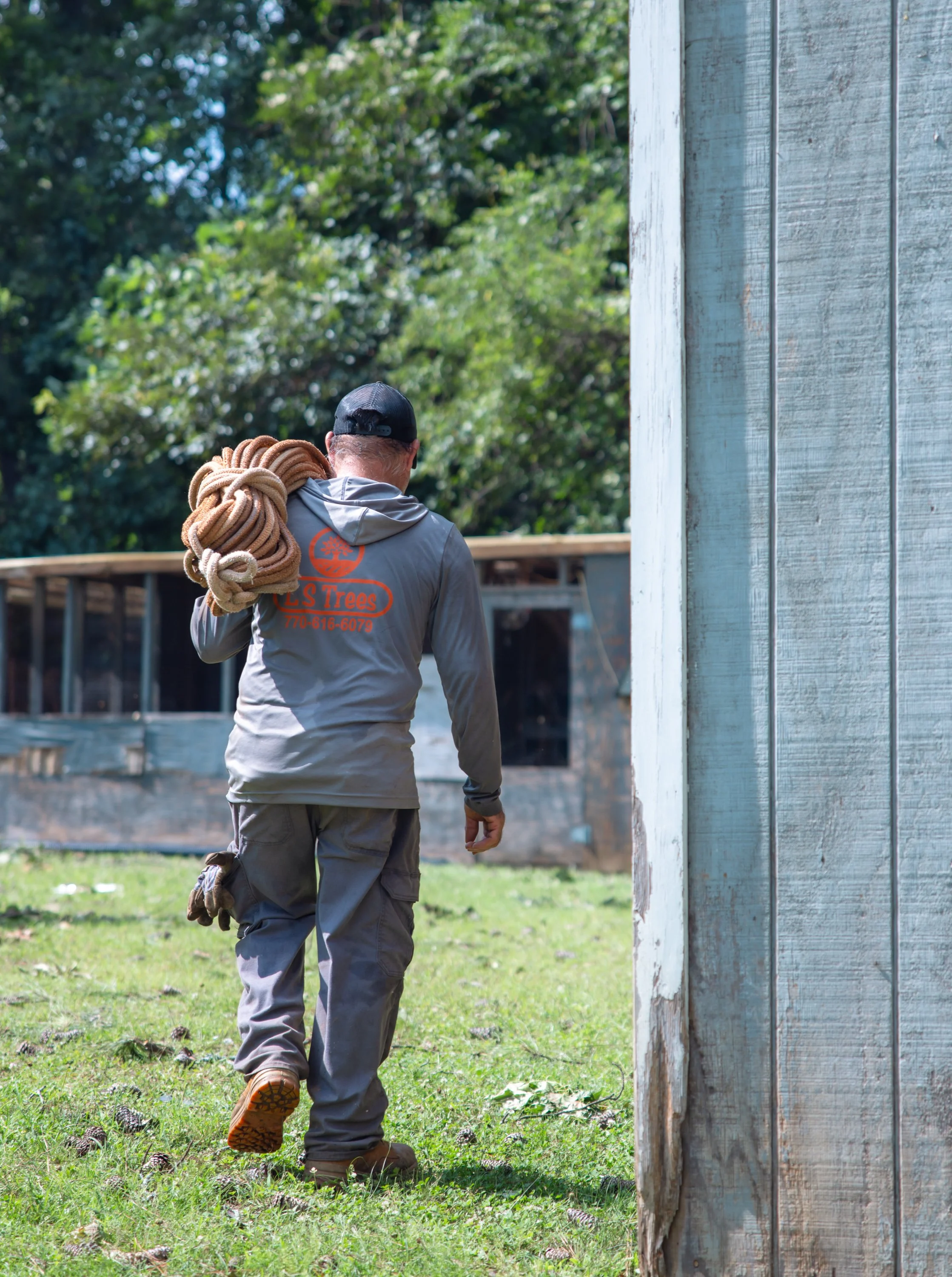 Love Your Home This February: How Tree Care Protects Your Family and Property in Cumming, GA ❤️🌳