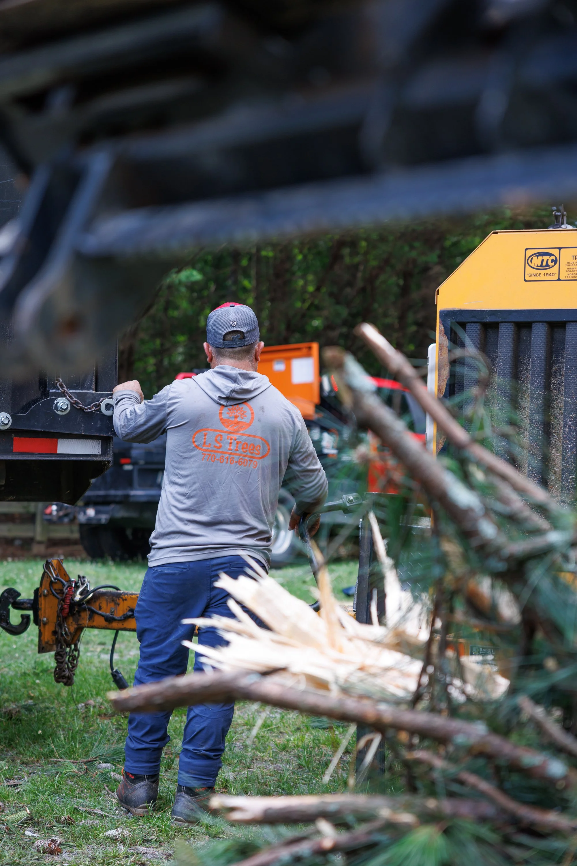 Spring Yard Cleanups in North Georgia: What to Remove, Trim, Grind, or Keep