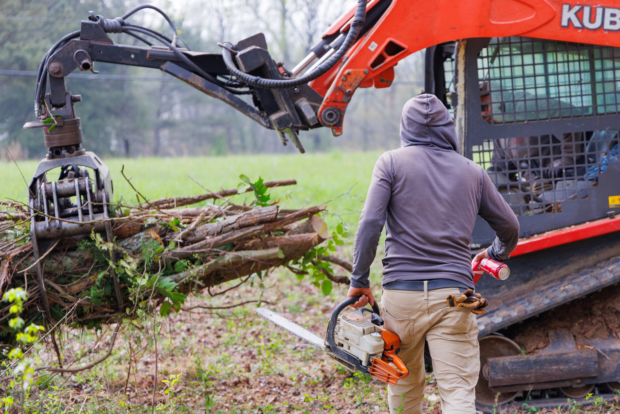 Tree Services in Cumming, GA: Your Local Experts for Safe, Reliable Tree Care
