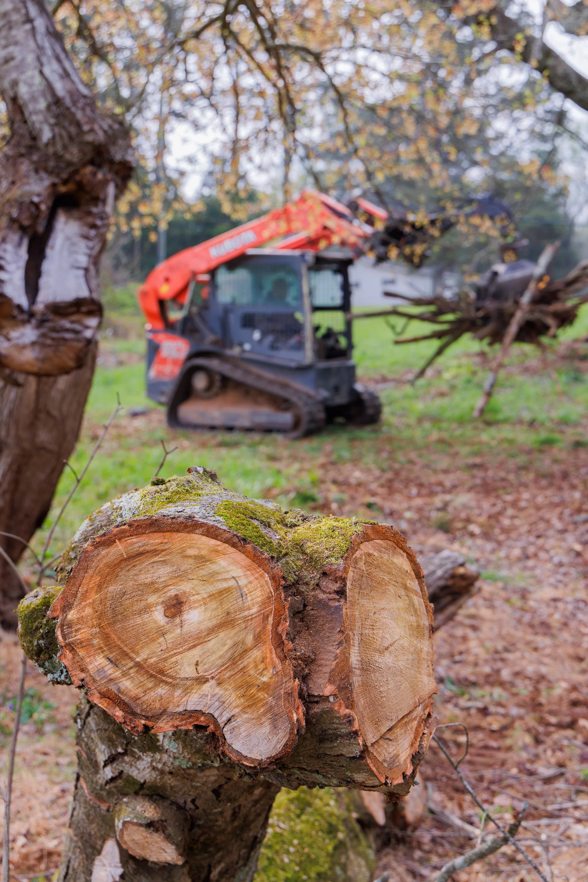Emergency Tree Service in Cumming, GA: Storm Cleanup, Fallen Trees, and Fast Response When You Need It Most
