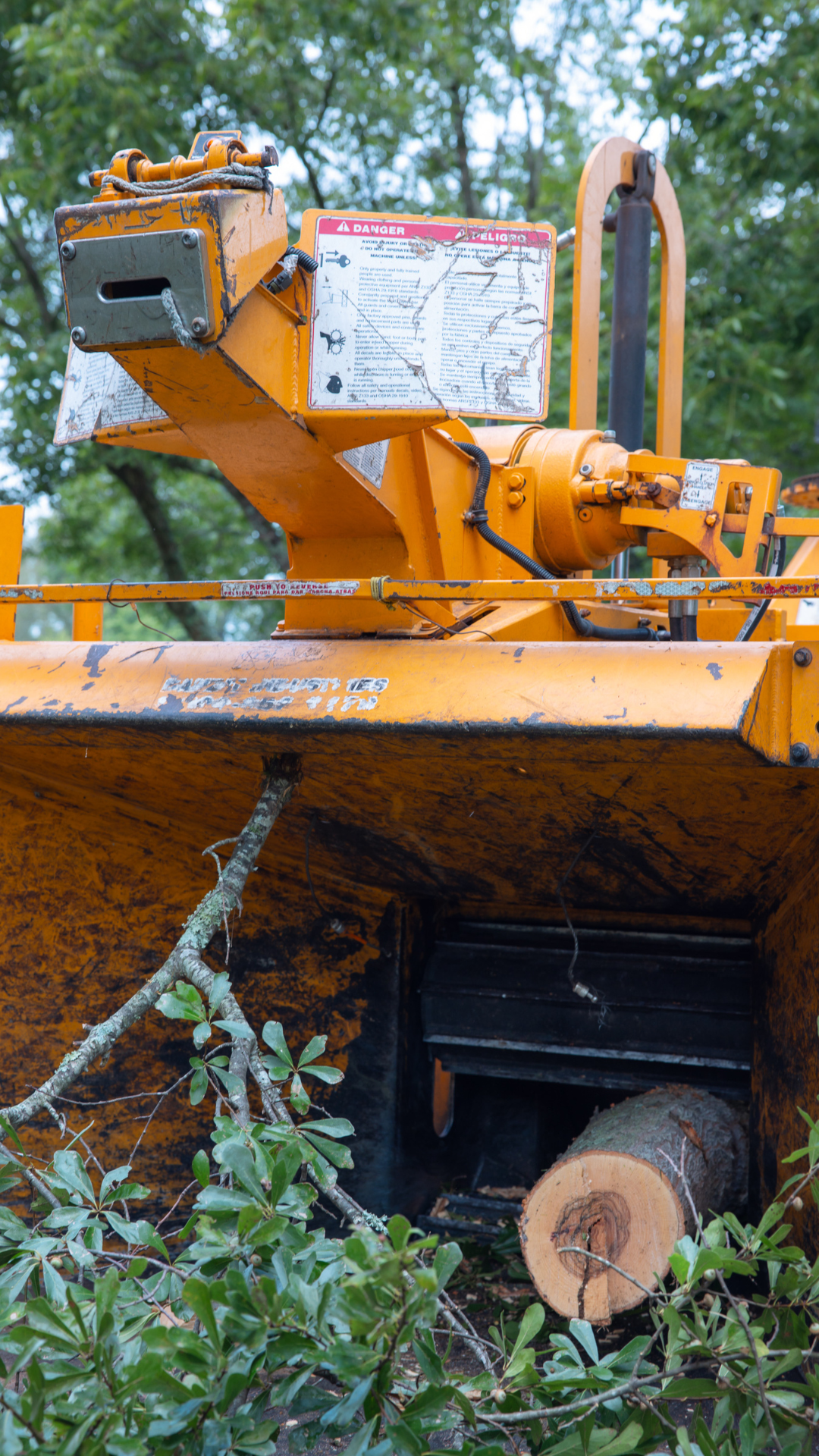 How Much Does Tree Removal Cost in Cumming, GA?