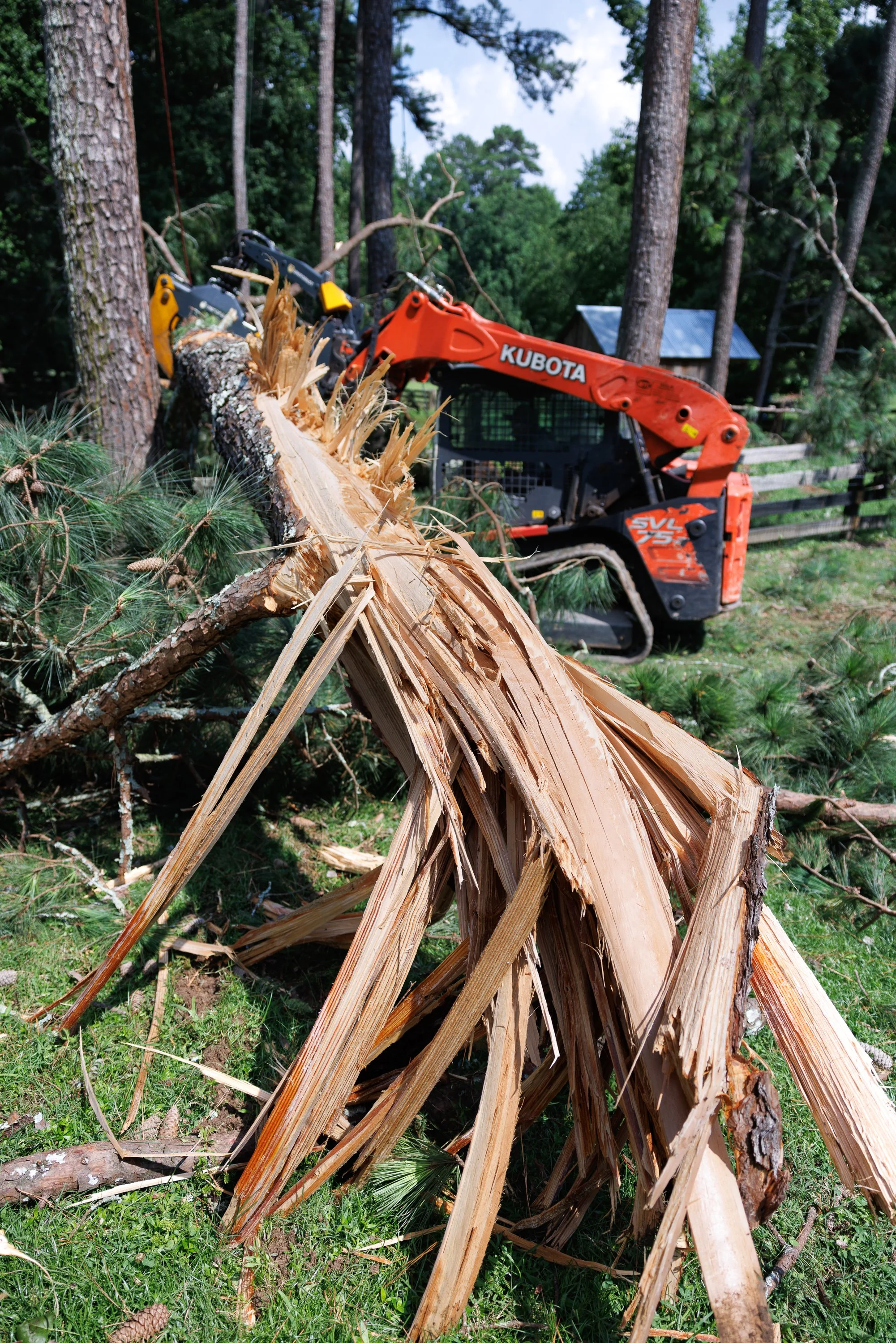 LS Trees crew removing fallen tree in Milton, GA