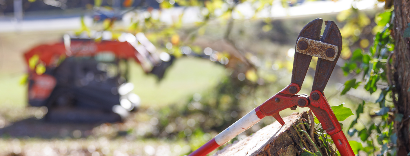 LS Trees removing and trimming trees in Cumming, GA and Gainesville, GA.