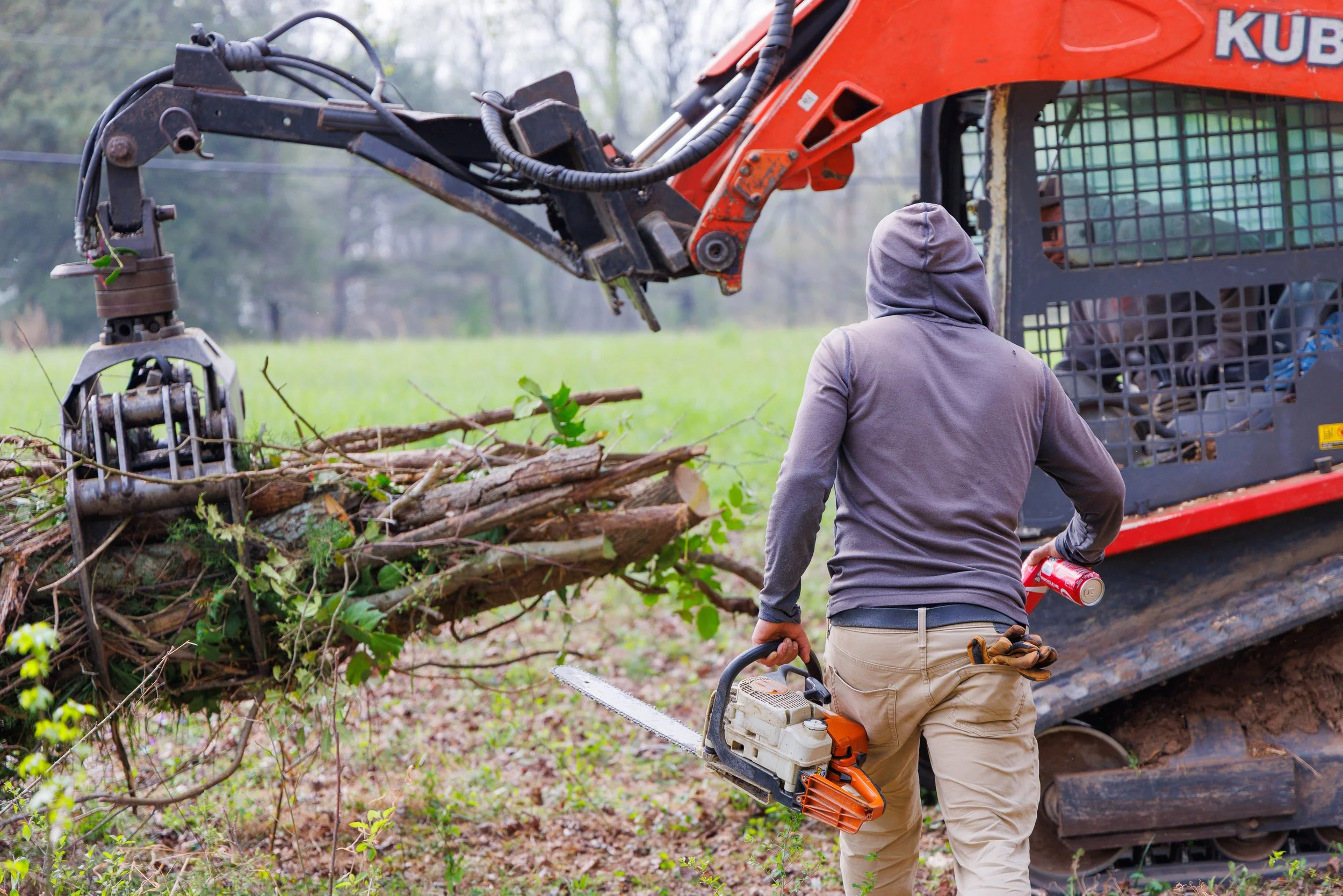 LS Trees crew members removing trees from property in Cumming, GA.