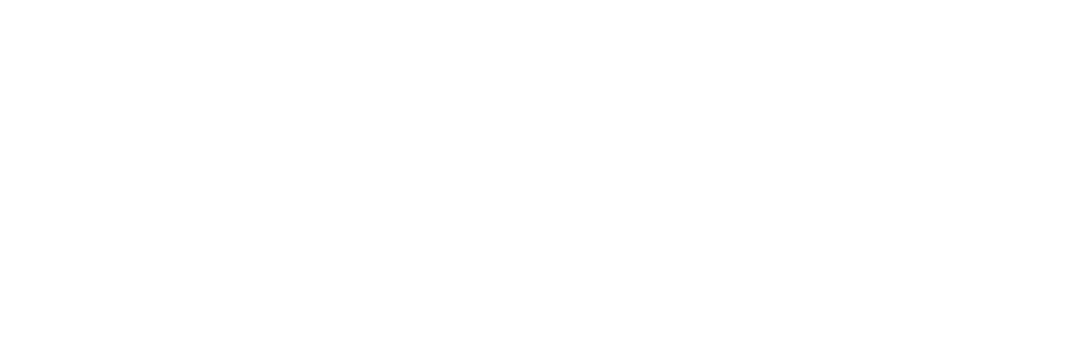 NEXUS - Network Like Never Before