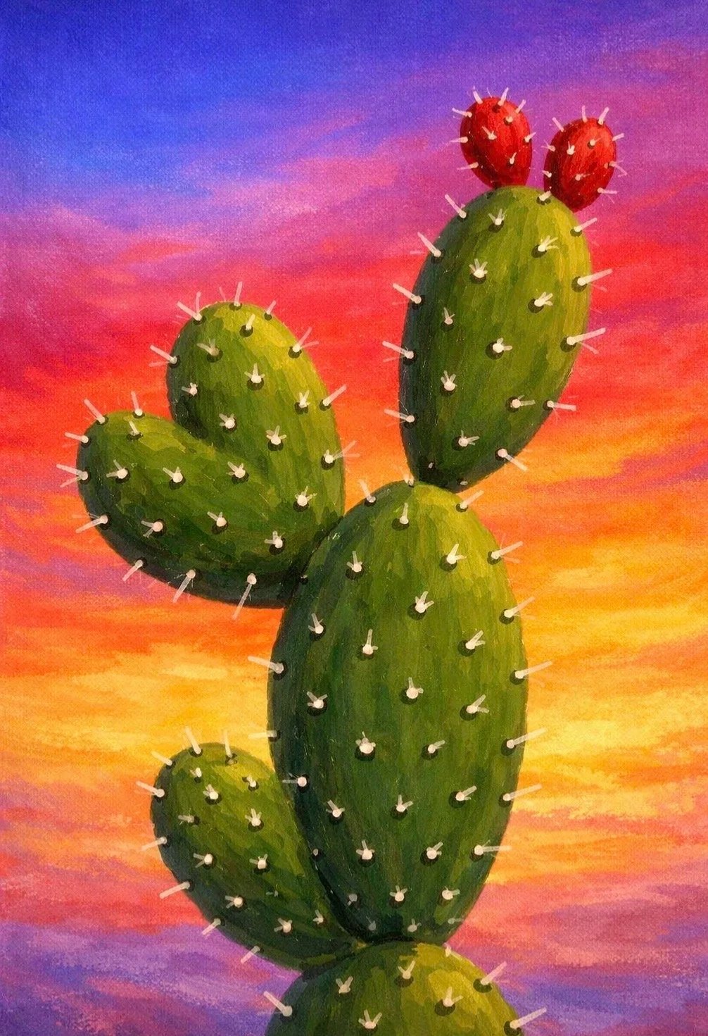Sunset Cactus 🌵