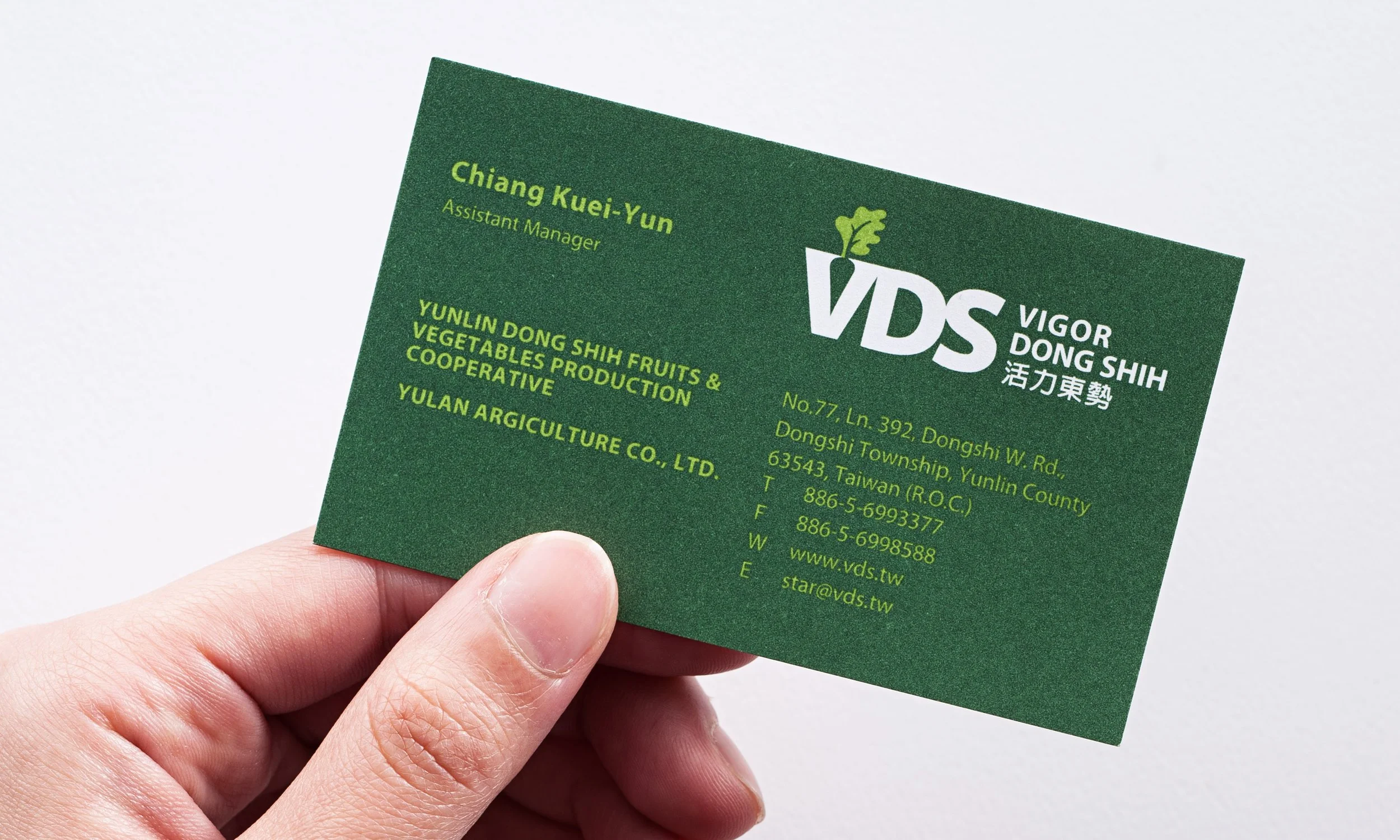 西伯里設計 VDS 名片設計