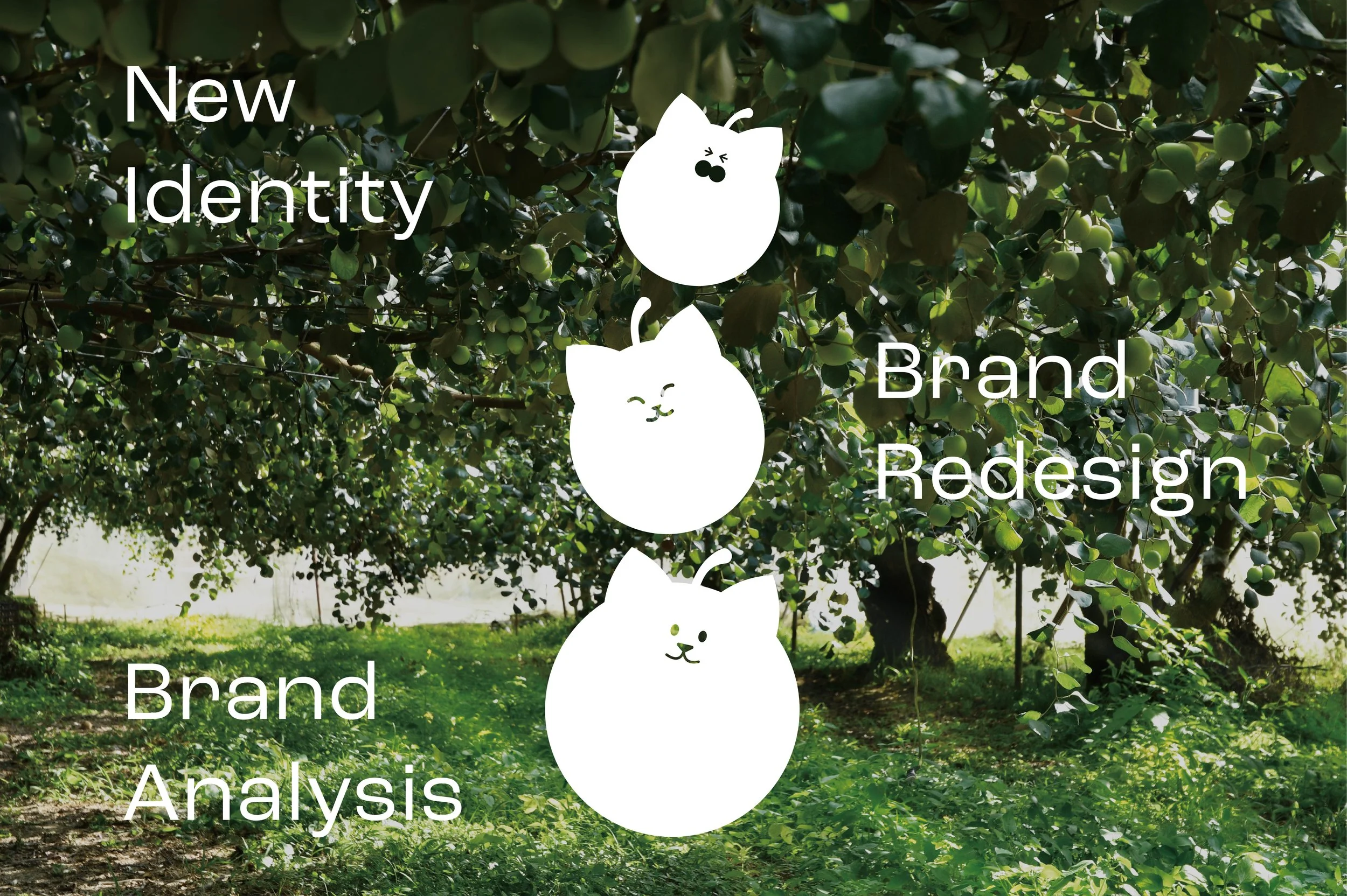 A presentation slide over a green orchard background with text and cat illustrations. The slide reads 'New Identity', 'Brand Redesign', and 'Brand Analysis' alongside three white cat icons with different facial expressions.