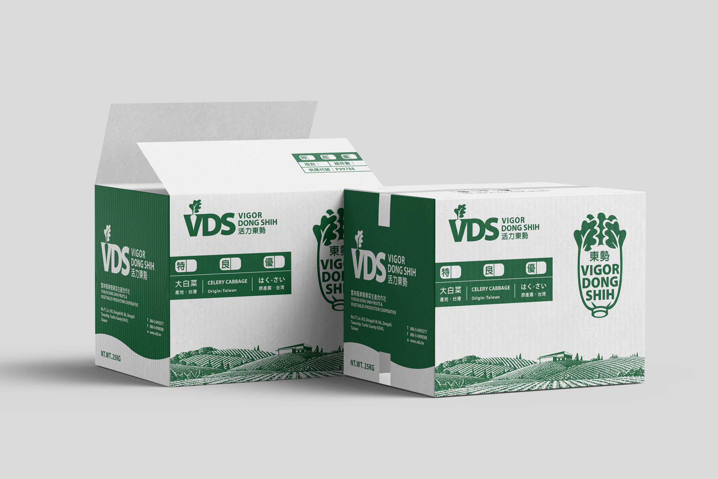 Two cardboard boxes of celery cabbage, with green and white packaging, displaying a scenic farm landscape illustration and product information in Chinese and English.