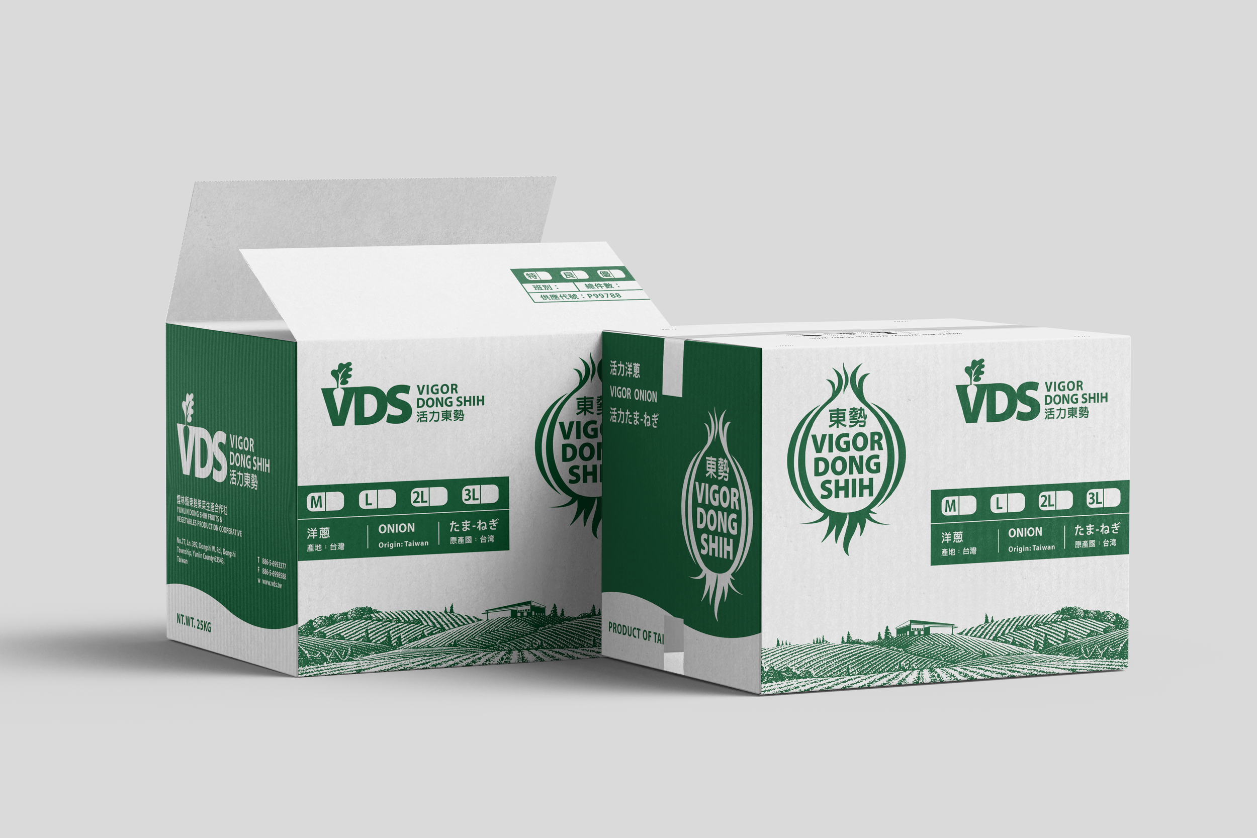 Two boxes of Vigor Dong Shih onions, with green and white packaging, featuring illustrations of onion bulbs and a farm landscape, indicating that the onions originate from Taiwan.
