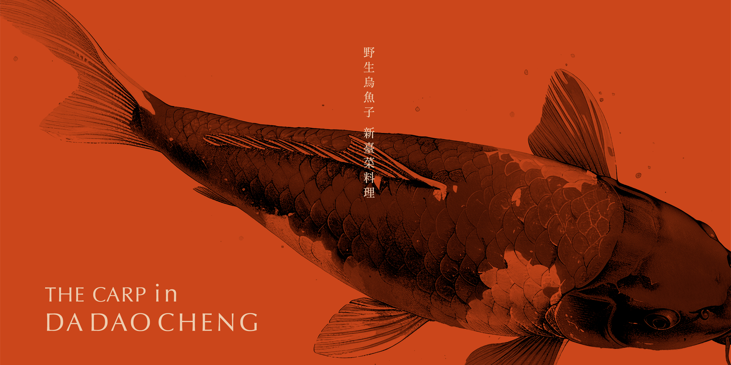 西伯里品牌形象設計 鯉魚 視覺形象