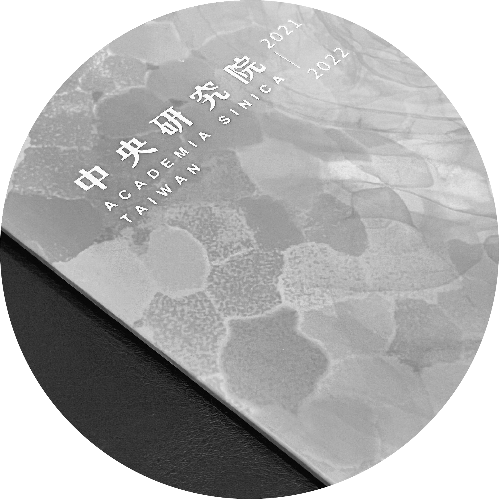 A black and white close-up photo of a plaque with Chinese characters, along with the text 'ACADEMY OF TAIWAN SINICA 2021 2022'.