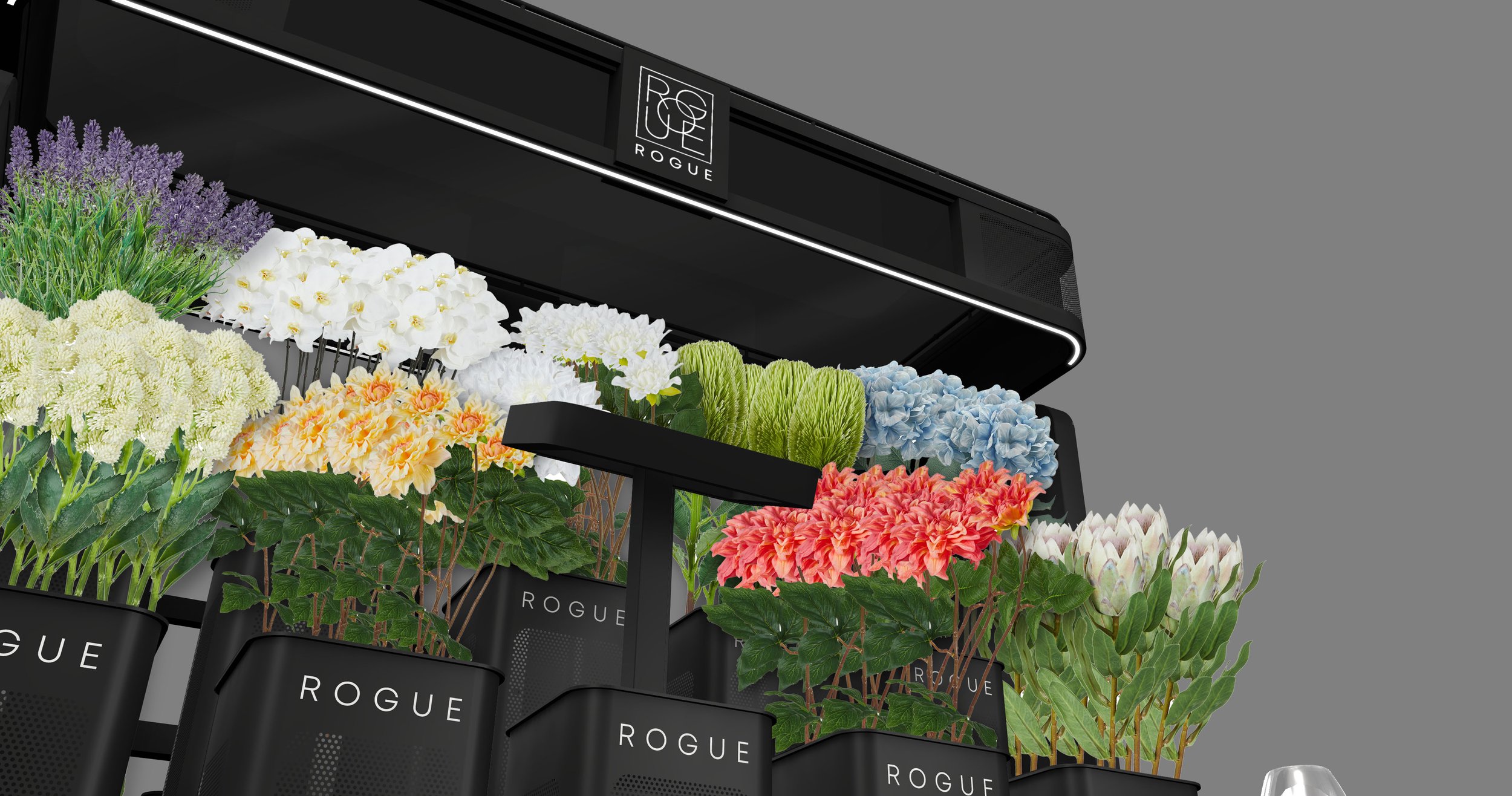 Rogue-Render-1.jpg