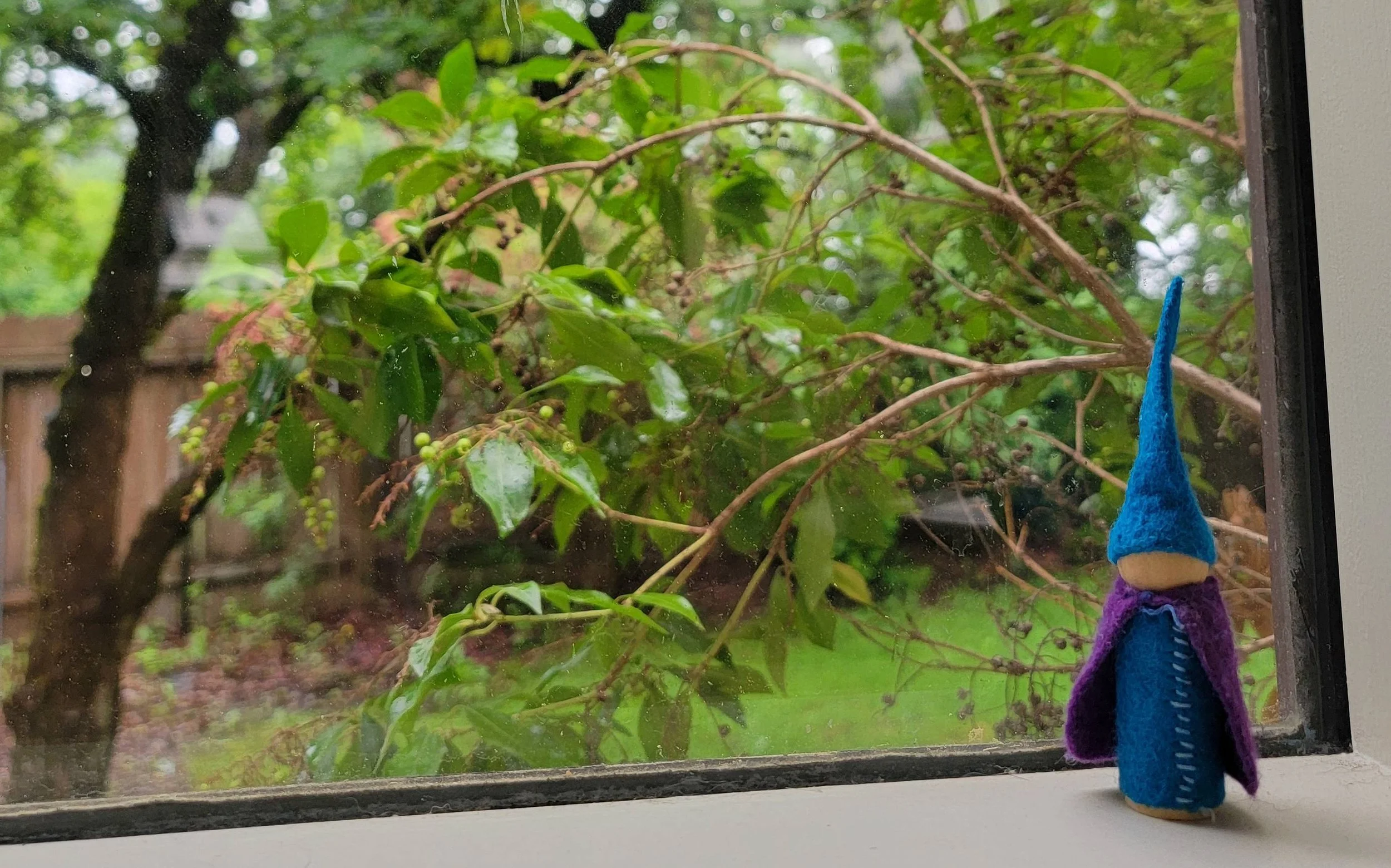 The Walnut House Early Learning & Care - Licensed Daycare in Nelson, BC