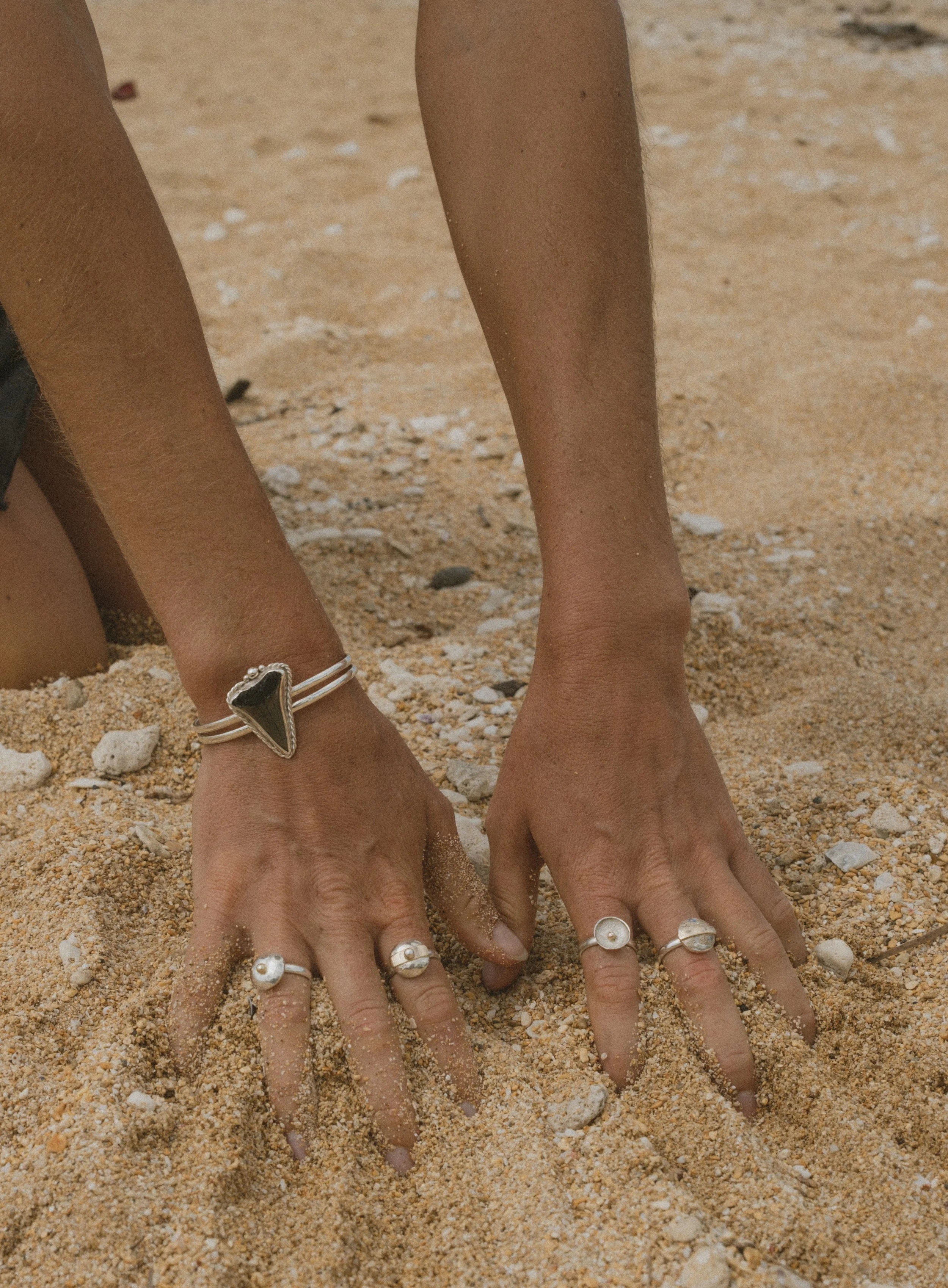 DSCF1551.jpg