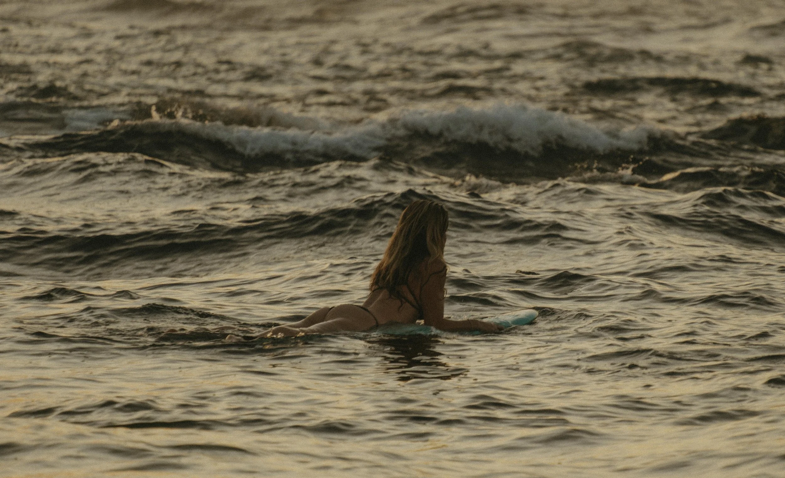 DSCF5984.jpg