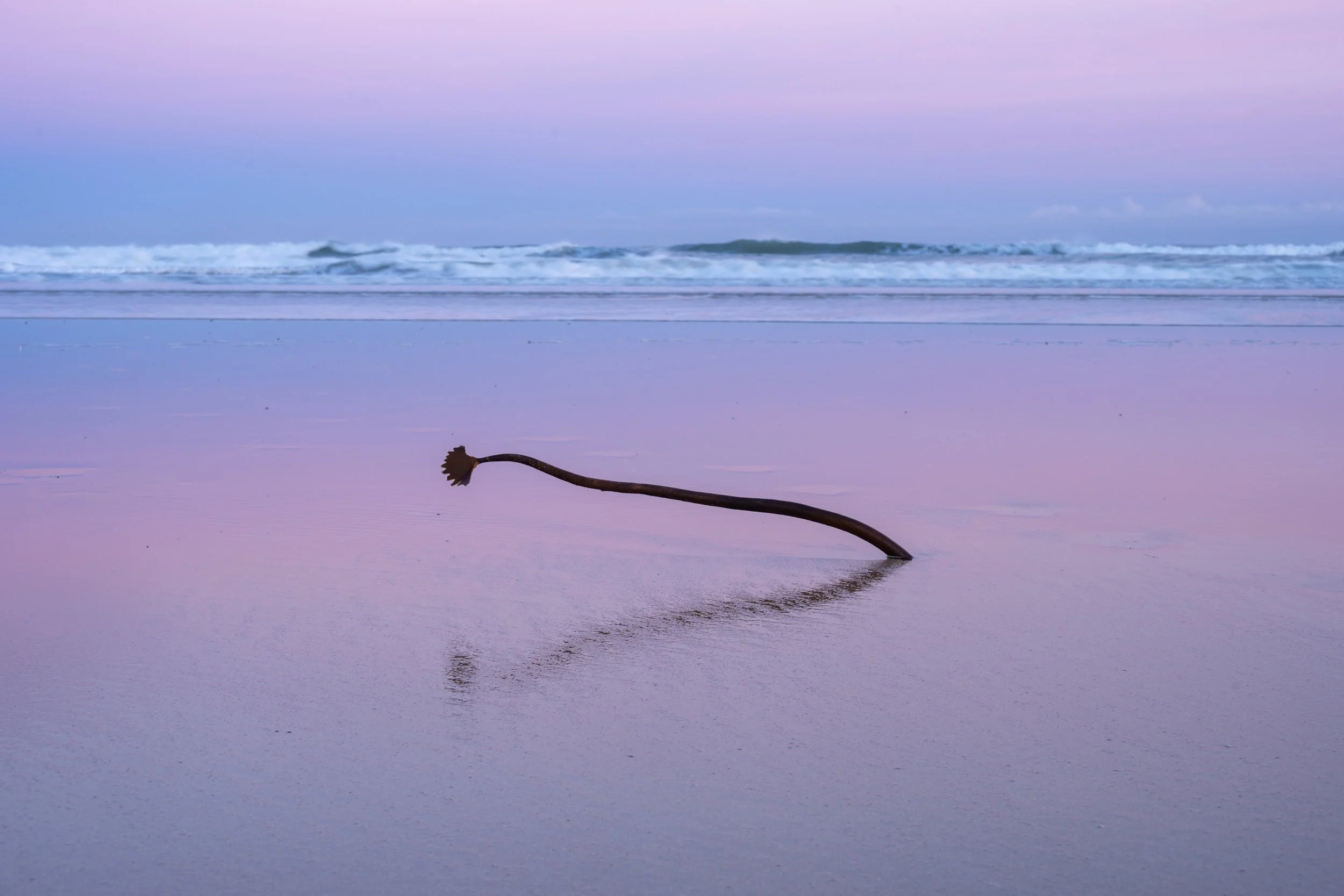 FRASER sunrise-28.jpg