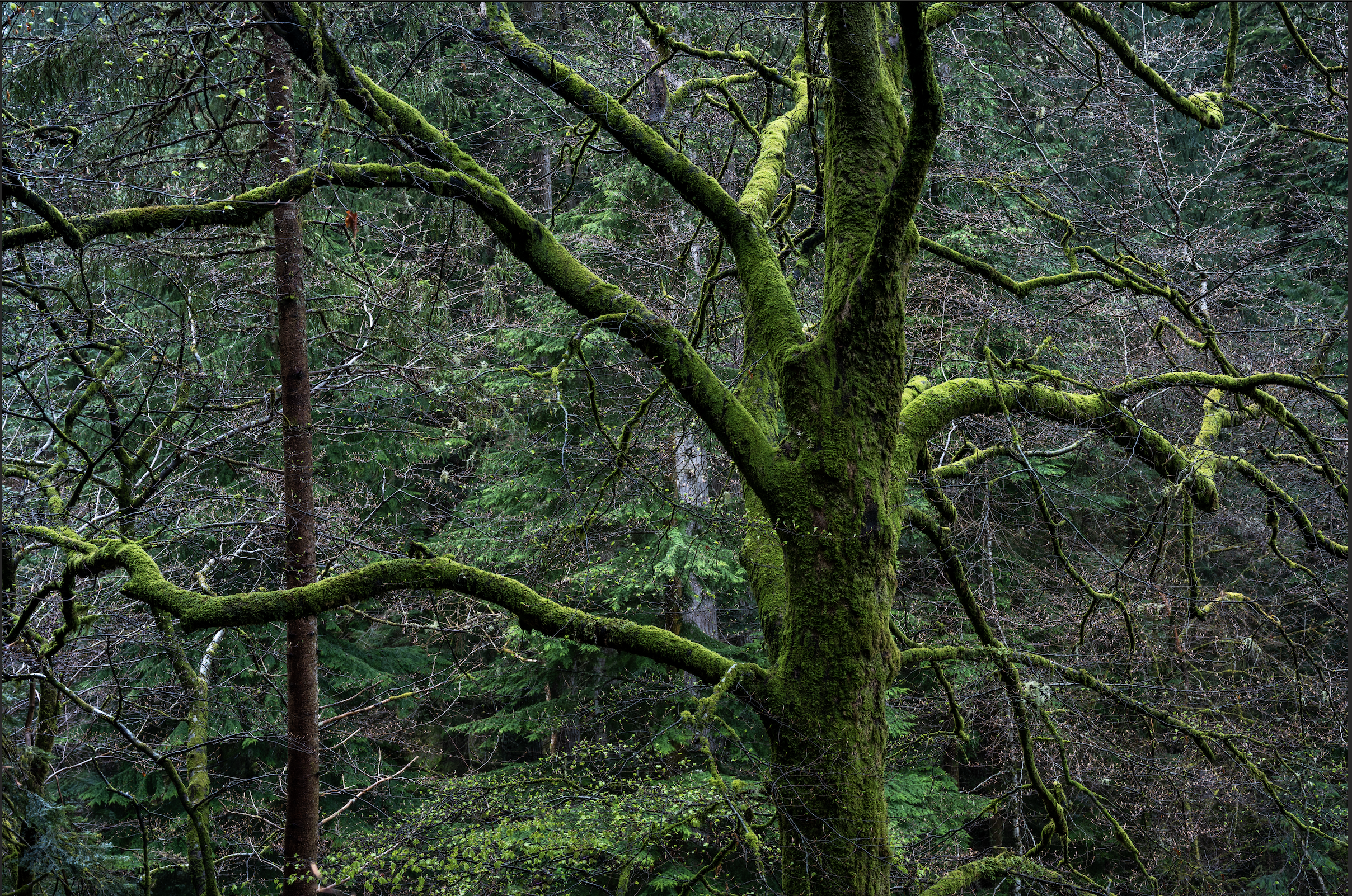 Screenshot 2026-01-27 at 20.02.31.png