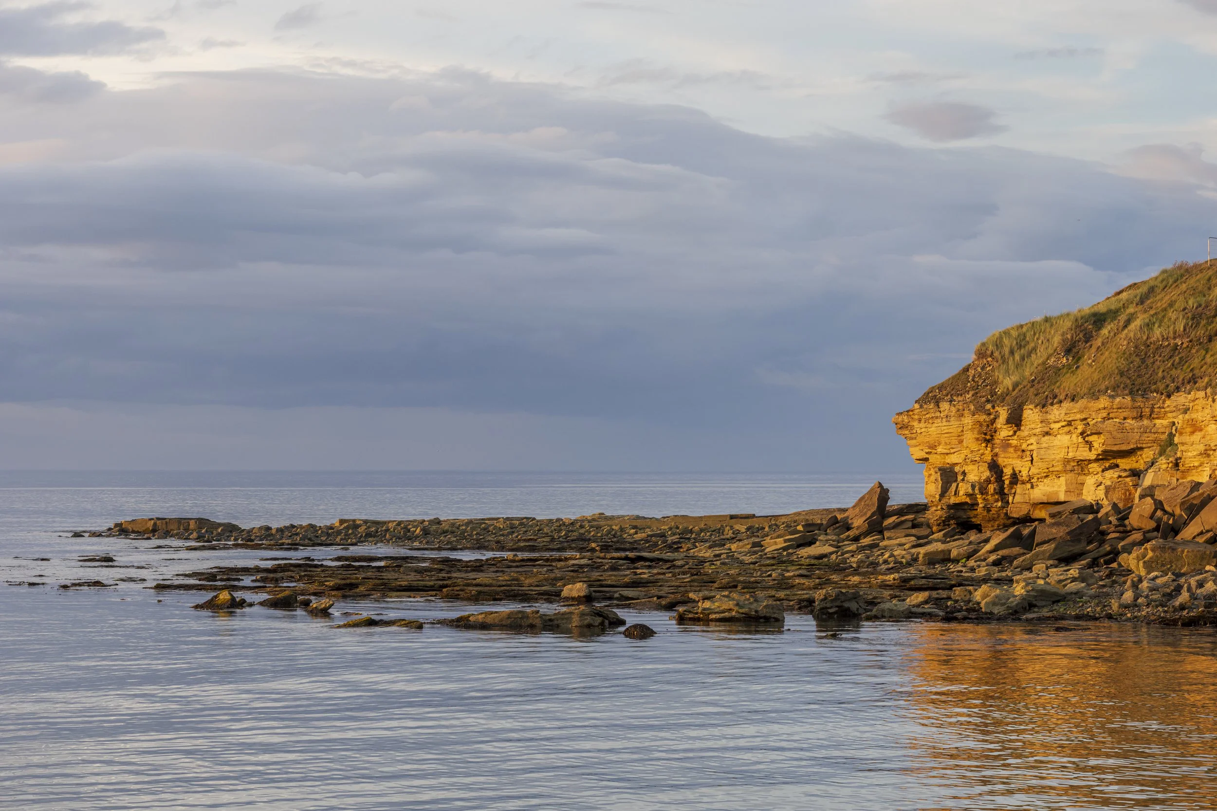 Burghead birds-30.jpg