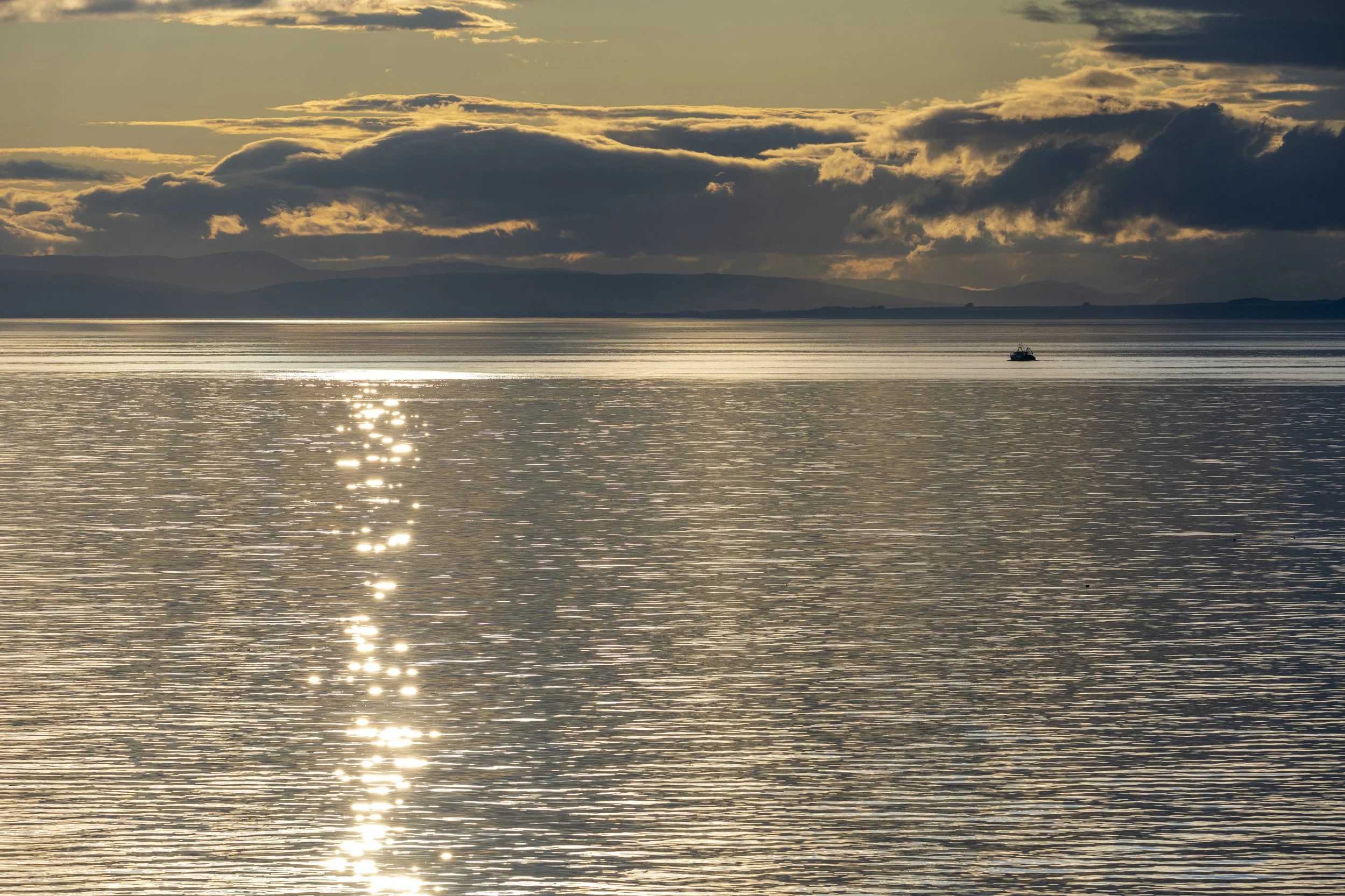 Burghead birds-86.jpg