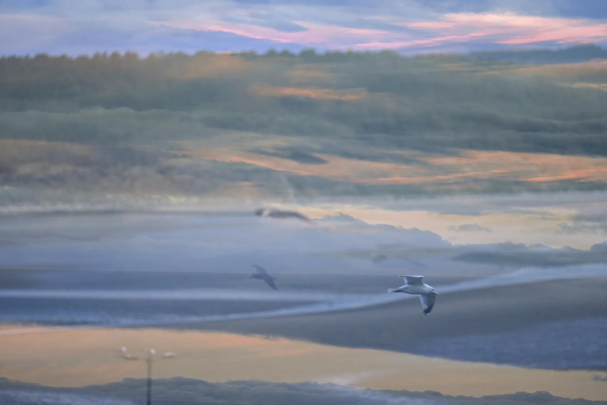 Night 2 Burghead-12.jpg