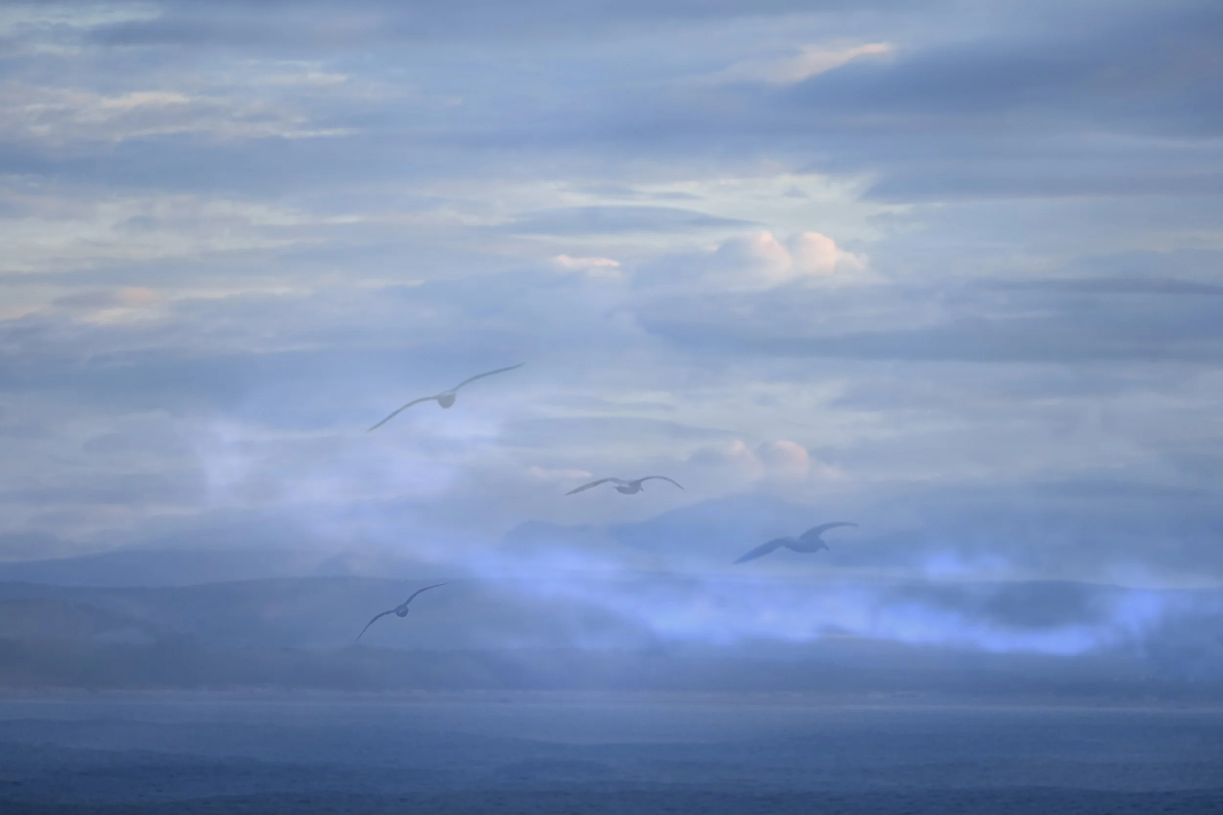 Night 2 Burghead-19.jpg