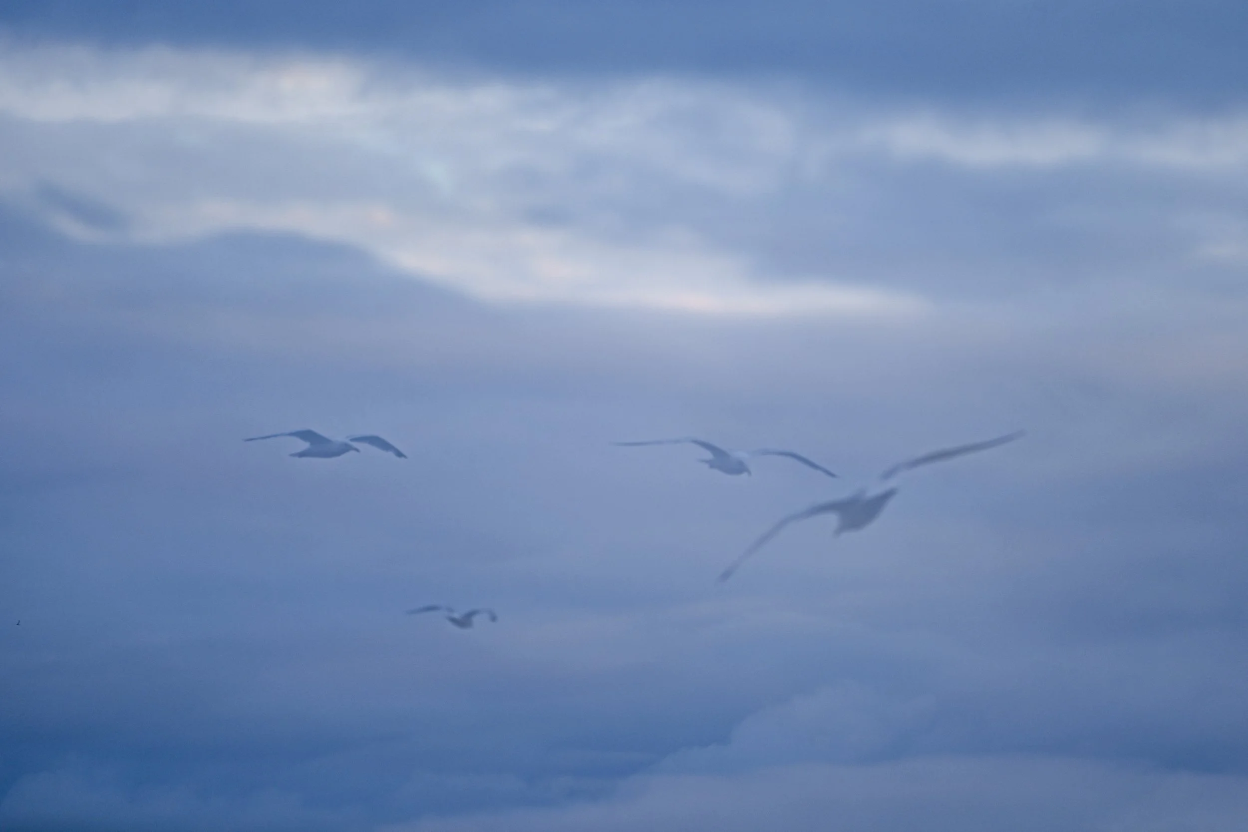 Night 2 Burghead-24.jpg