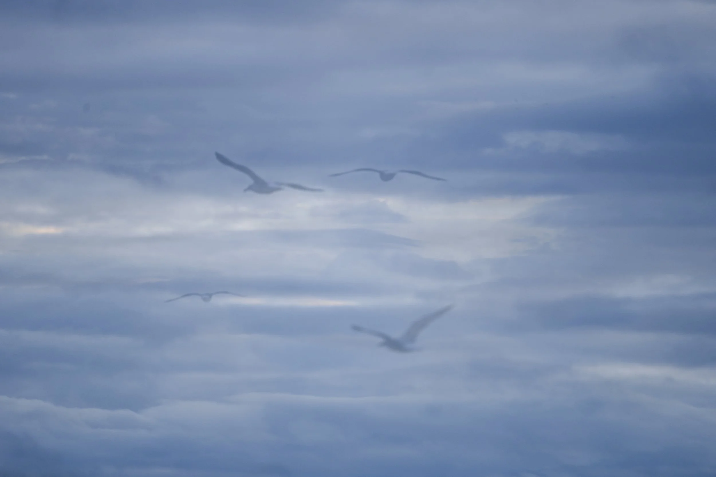 Night 2 Burghead-21.jpg