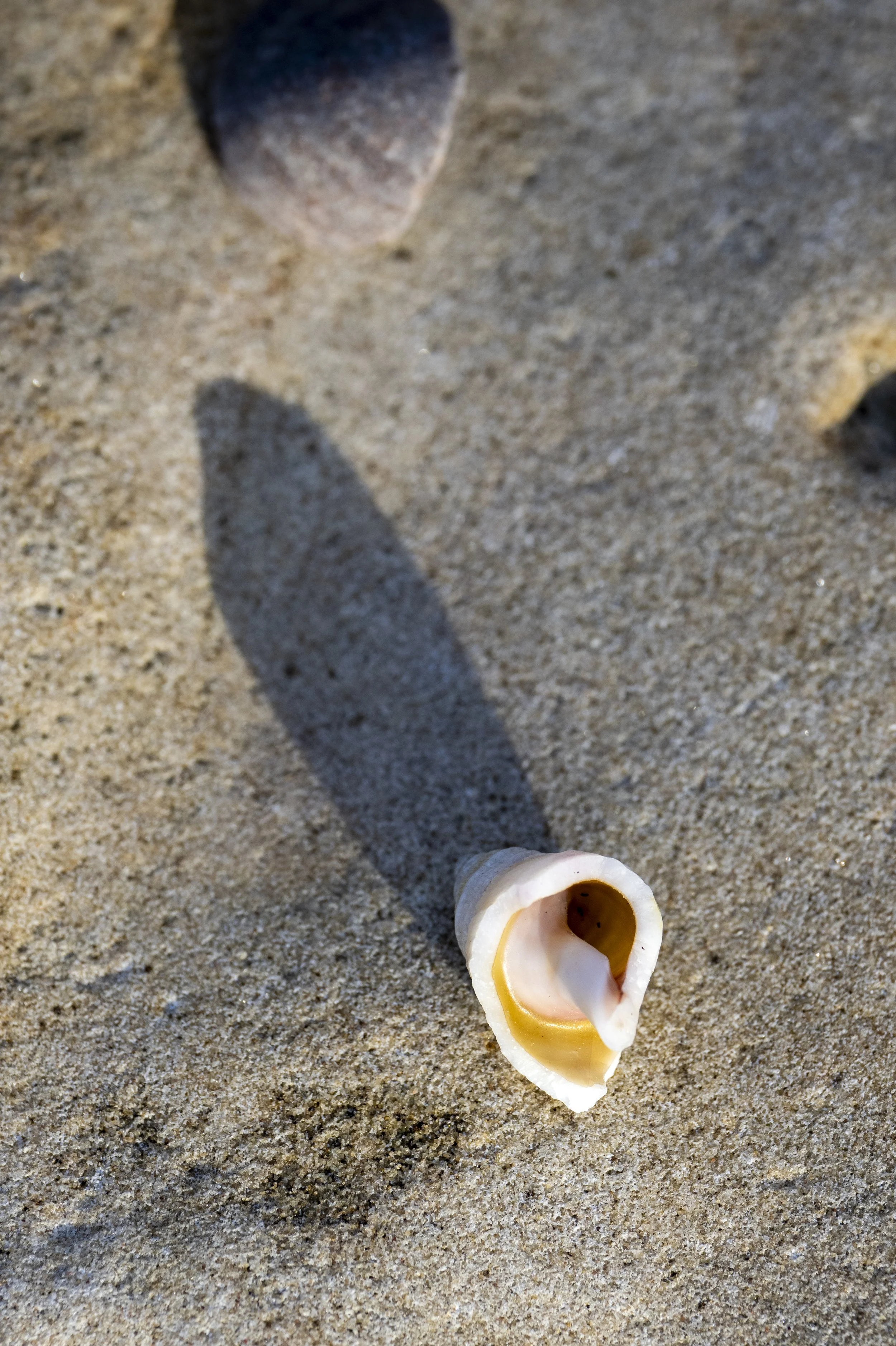 Burghead Backshore episode 4-9.jpg